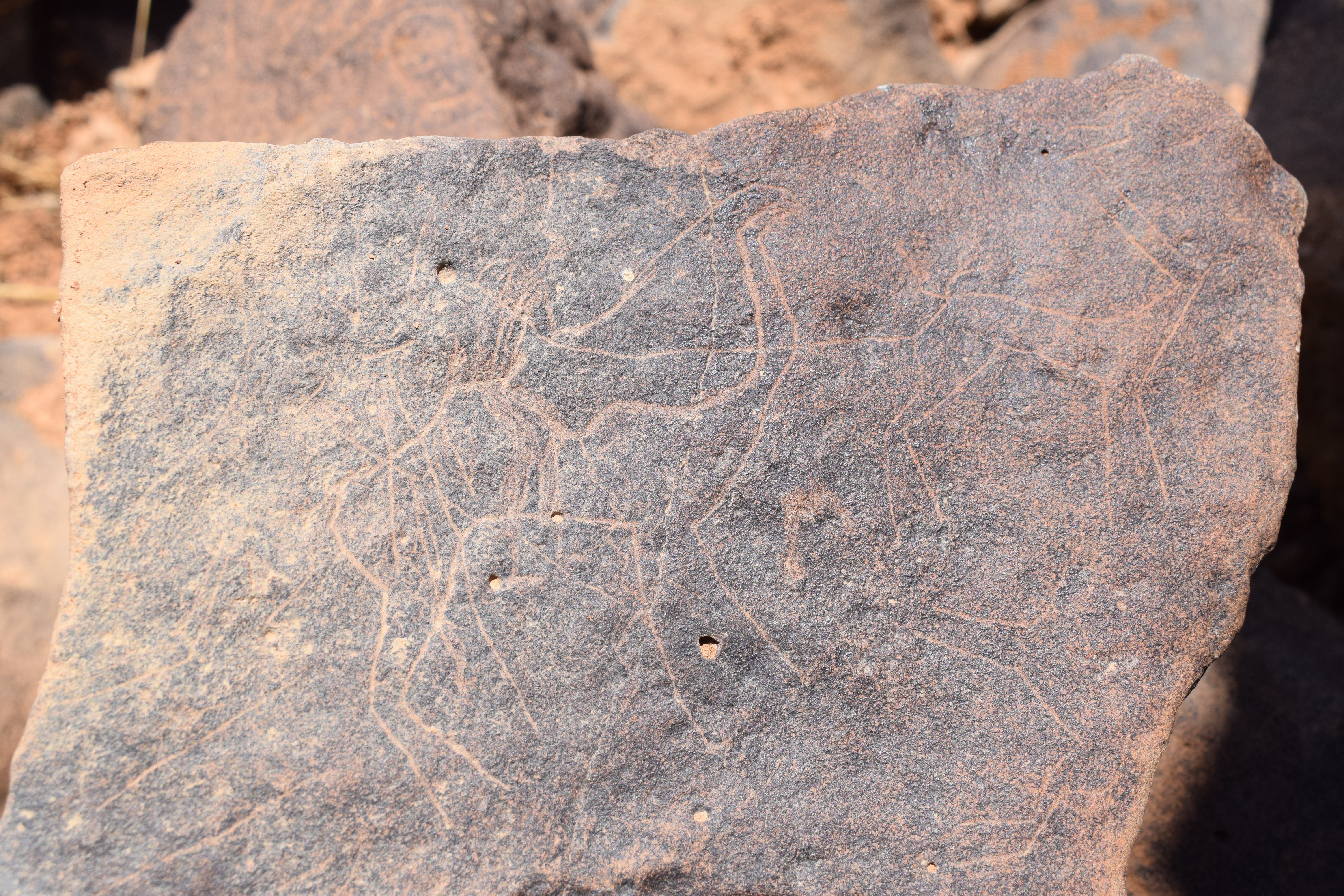 Image of siglum BES20 667