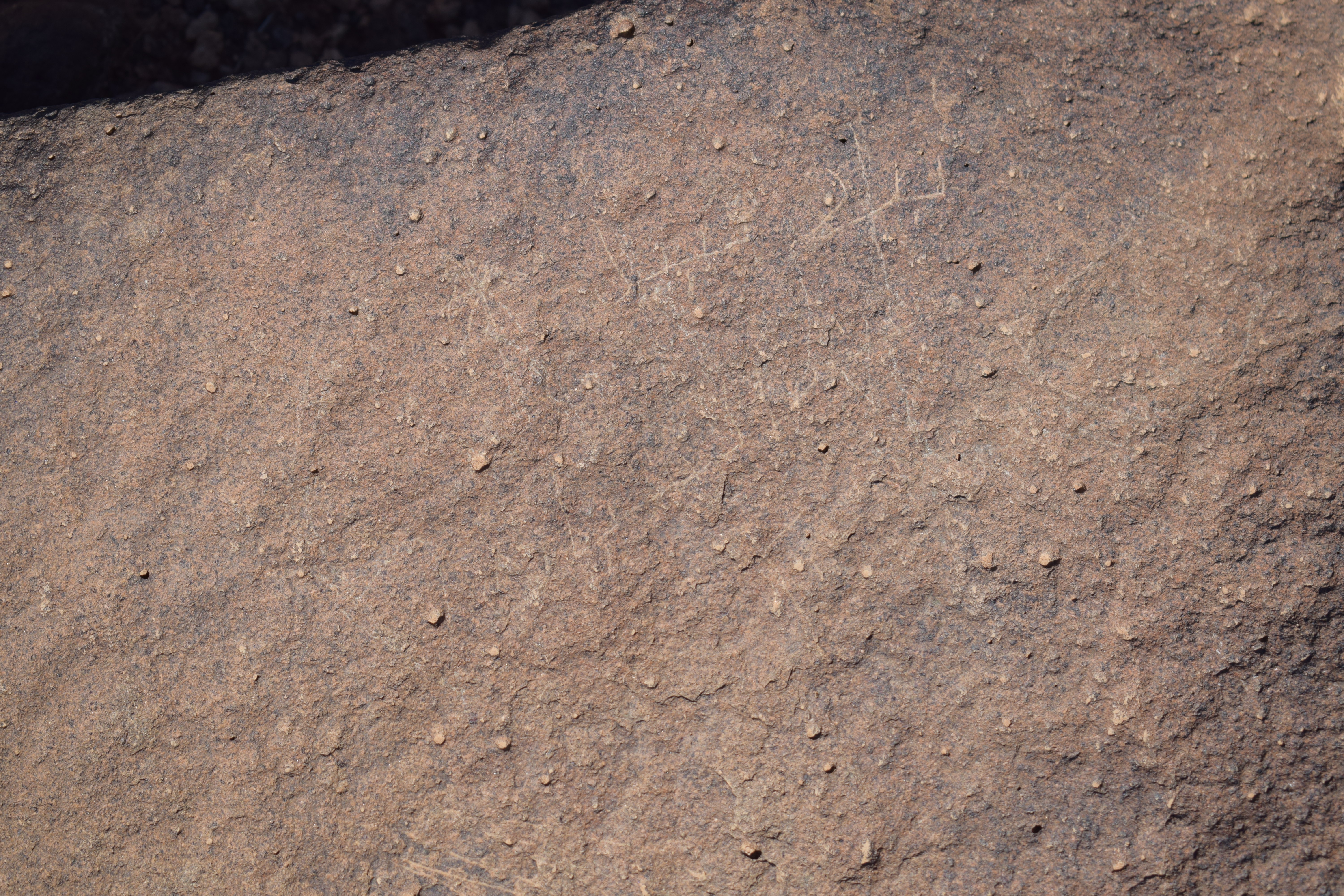 Image of siglum BES20 668