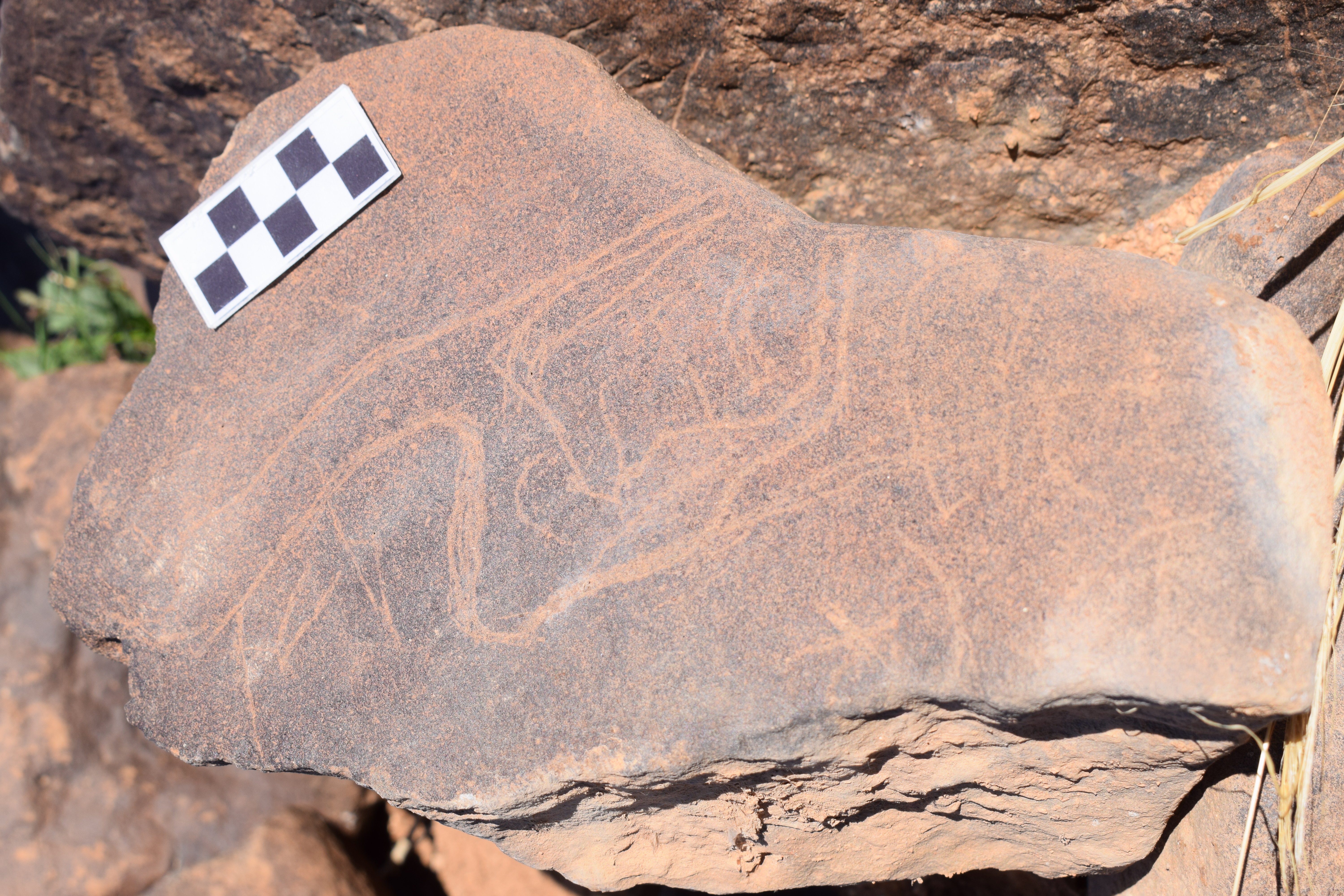 Image of siglum BES20 668