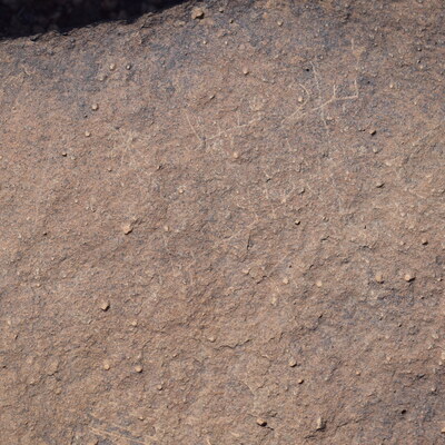 Image of siglum BES20 668