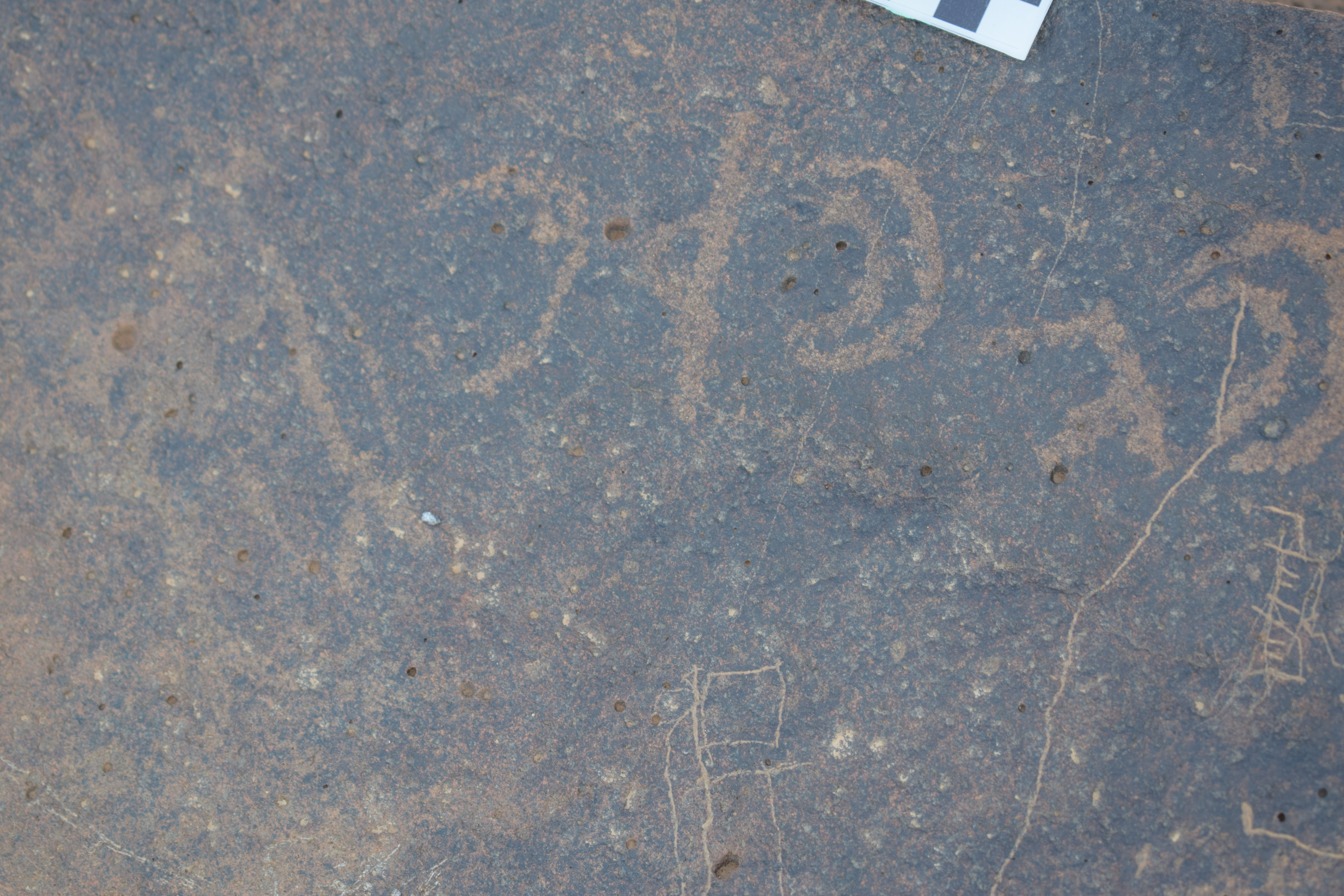 Image of siglum BES20 669