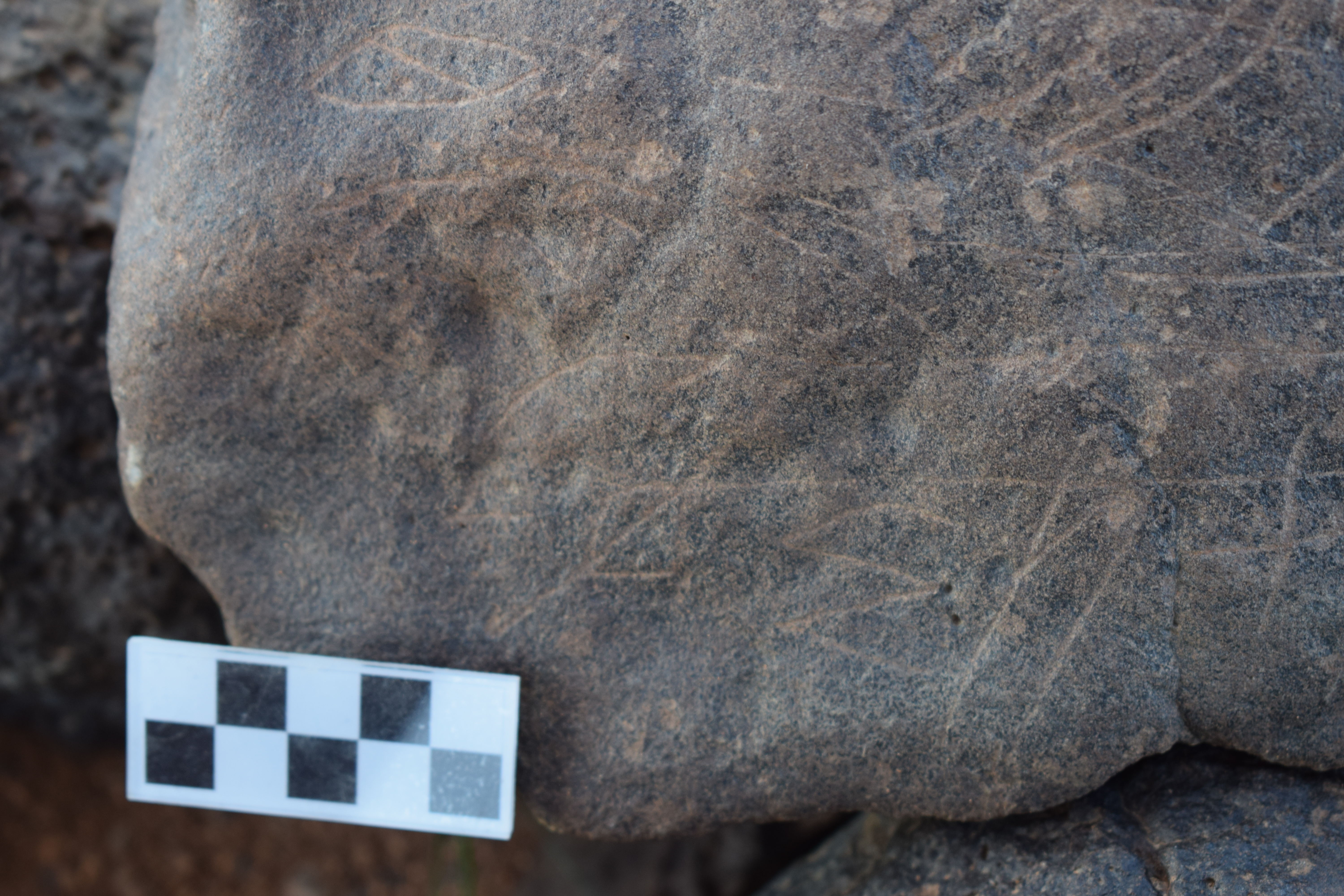 Image of siglum BES20 670