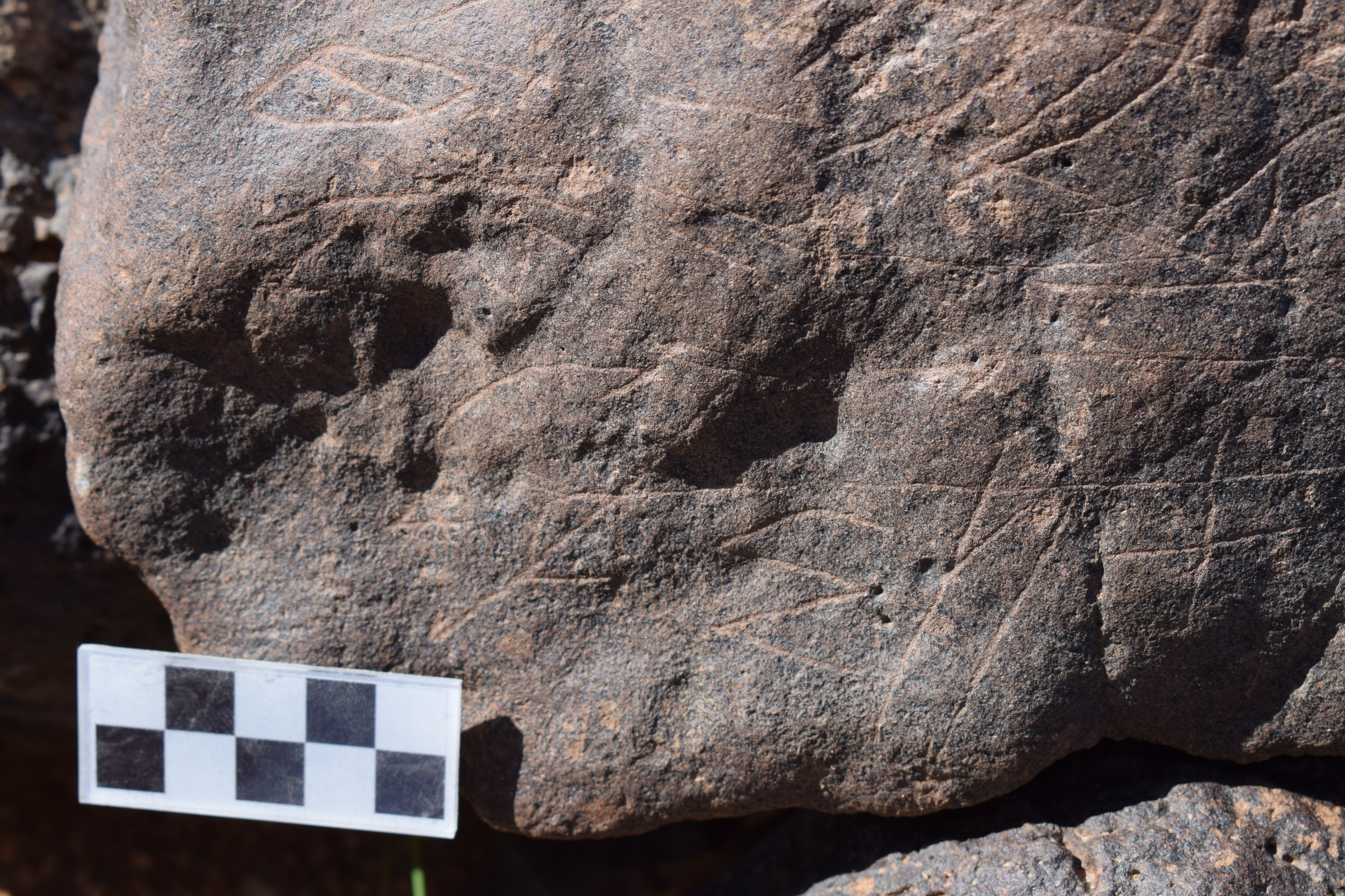 Image of siglum BES20 670