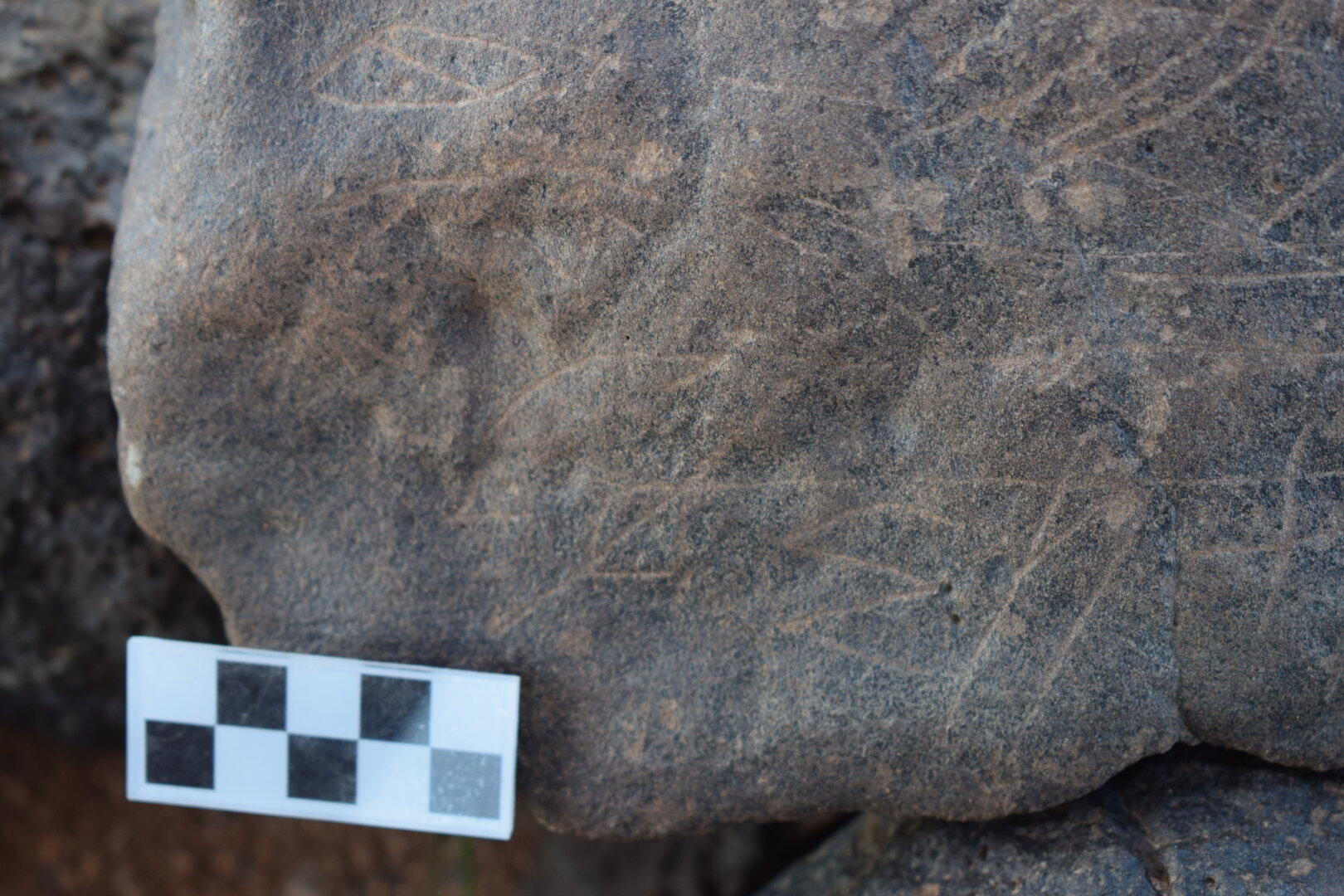 Image of siglum BES20 670