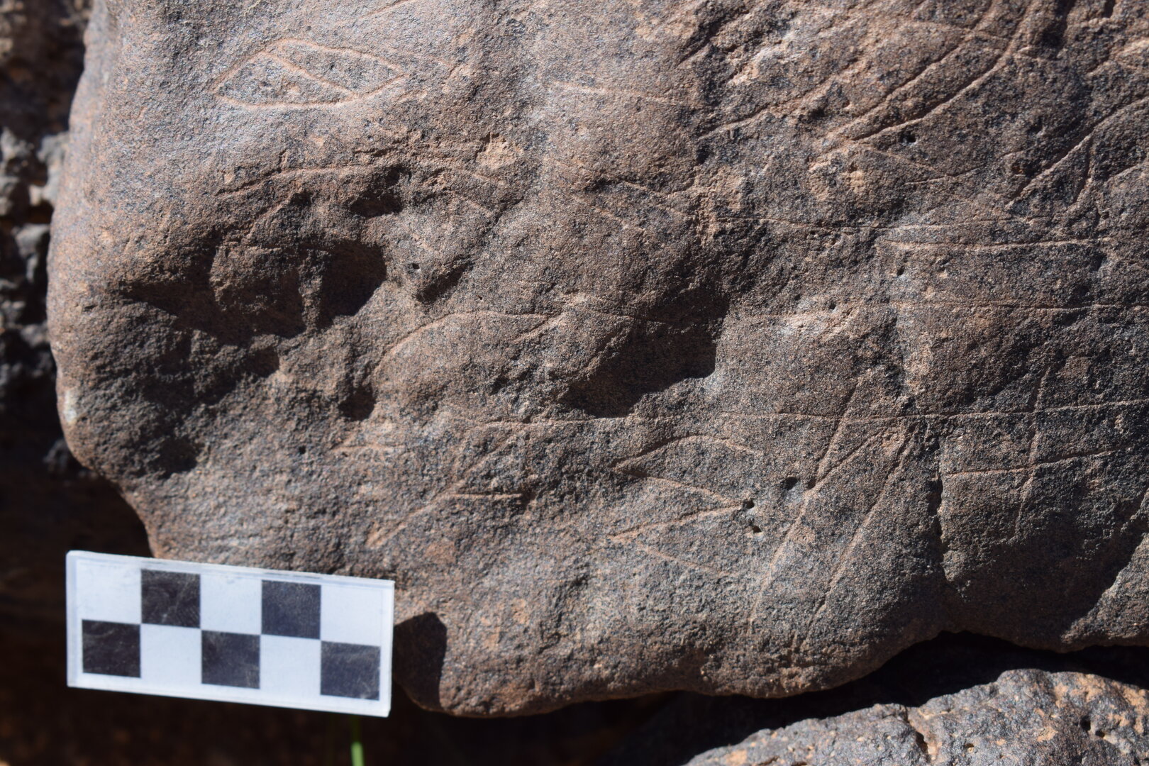 Image of siglum BES20 670