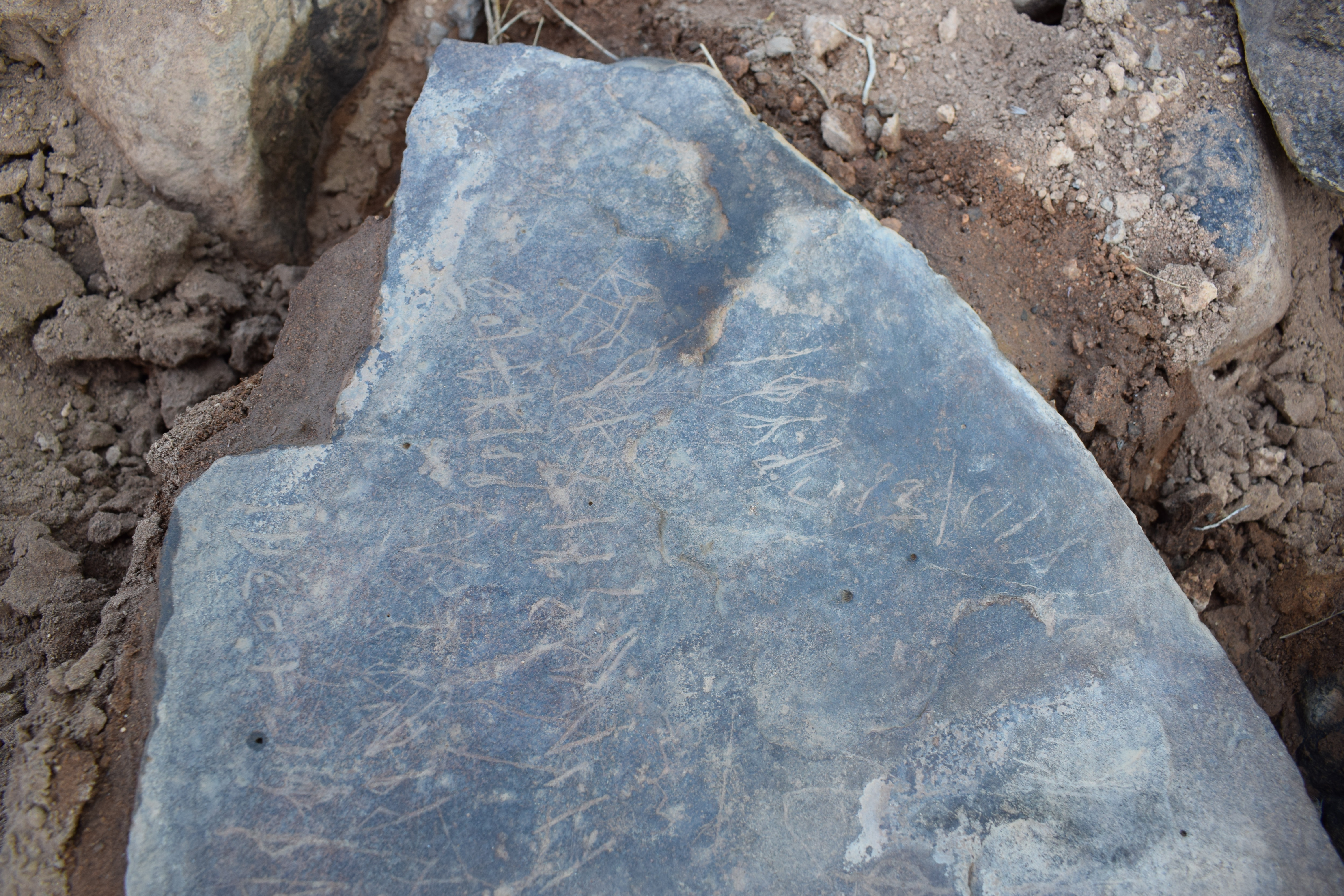 Image of siglum BES20 671