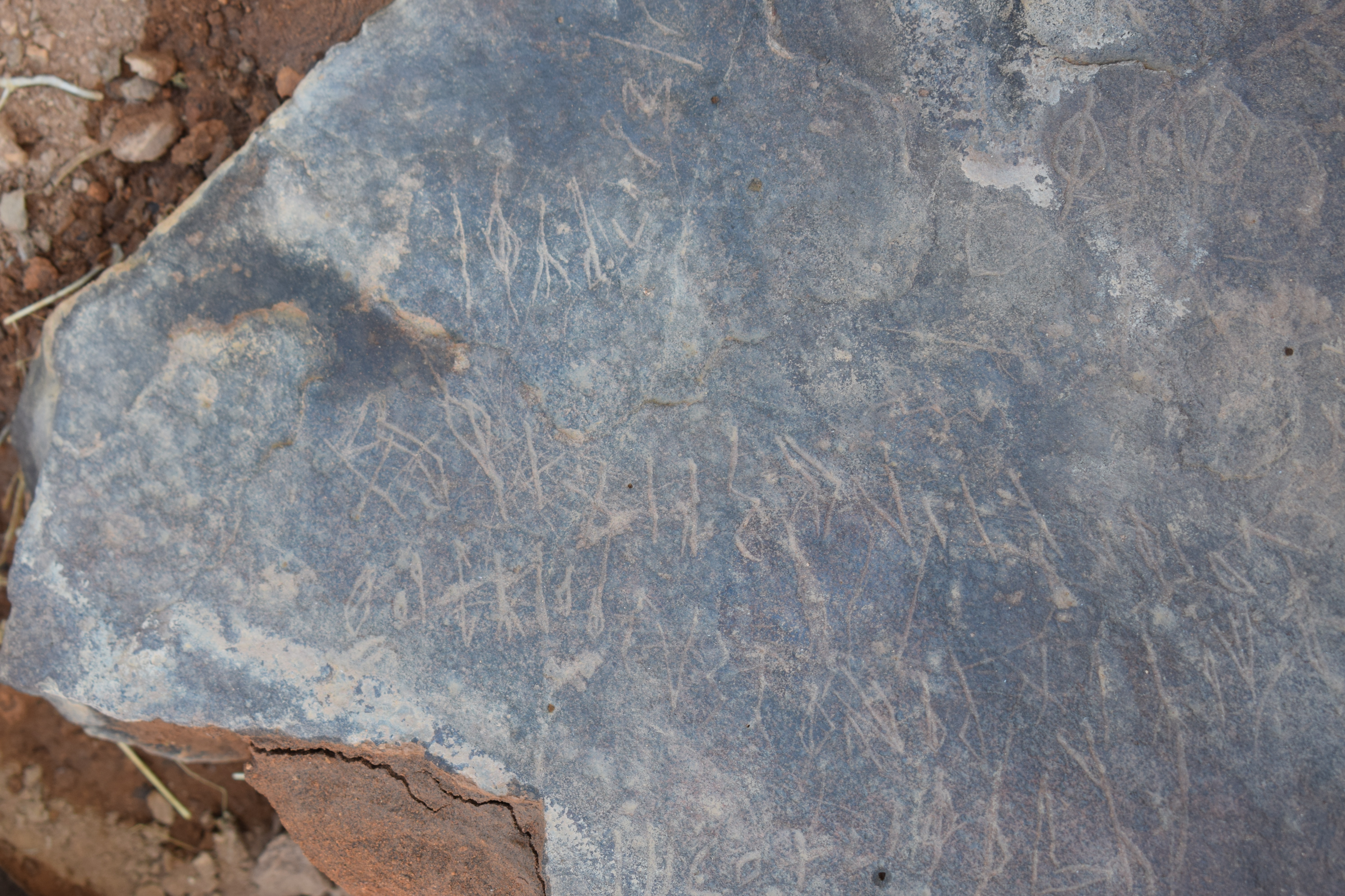 Image of siglum BES20 671