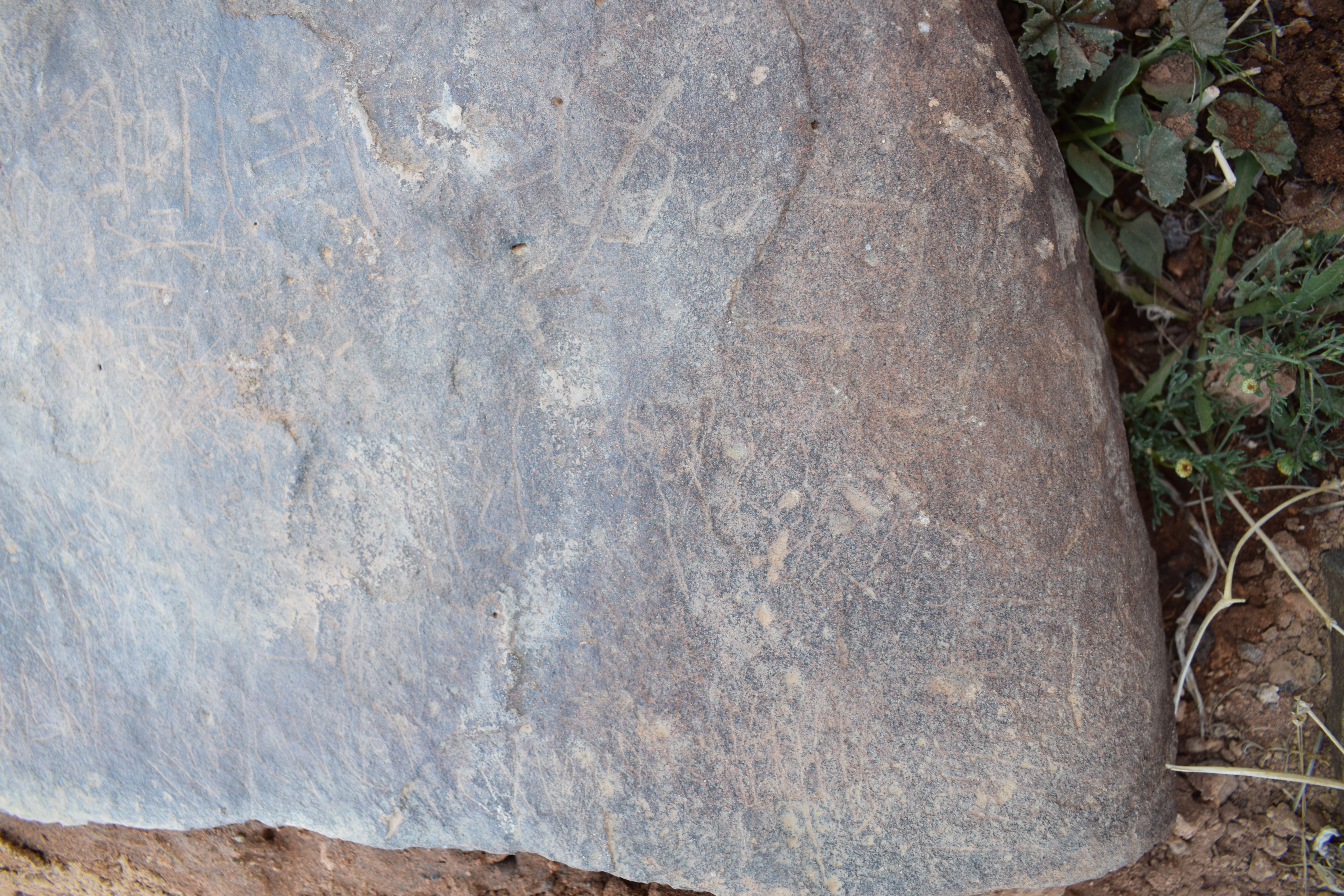 Image of siglum BES20 673