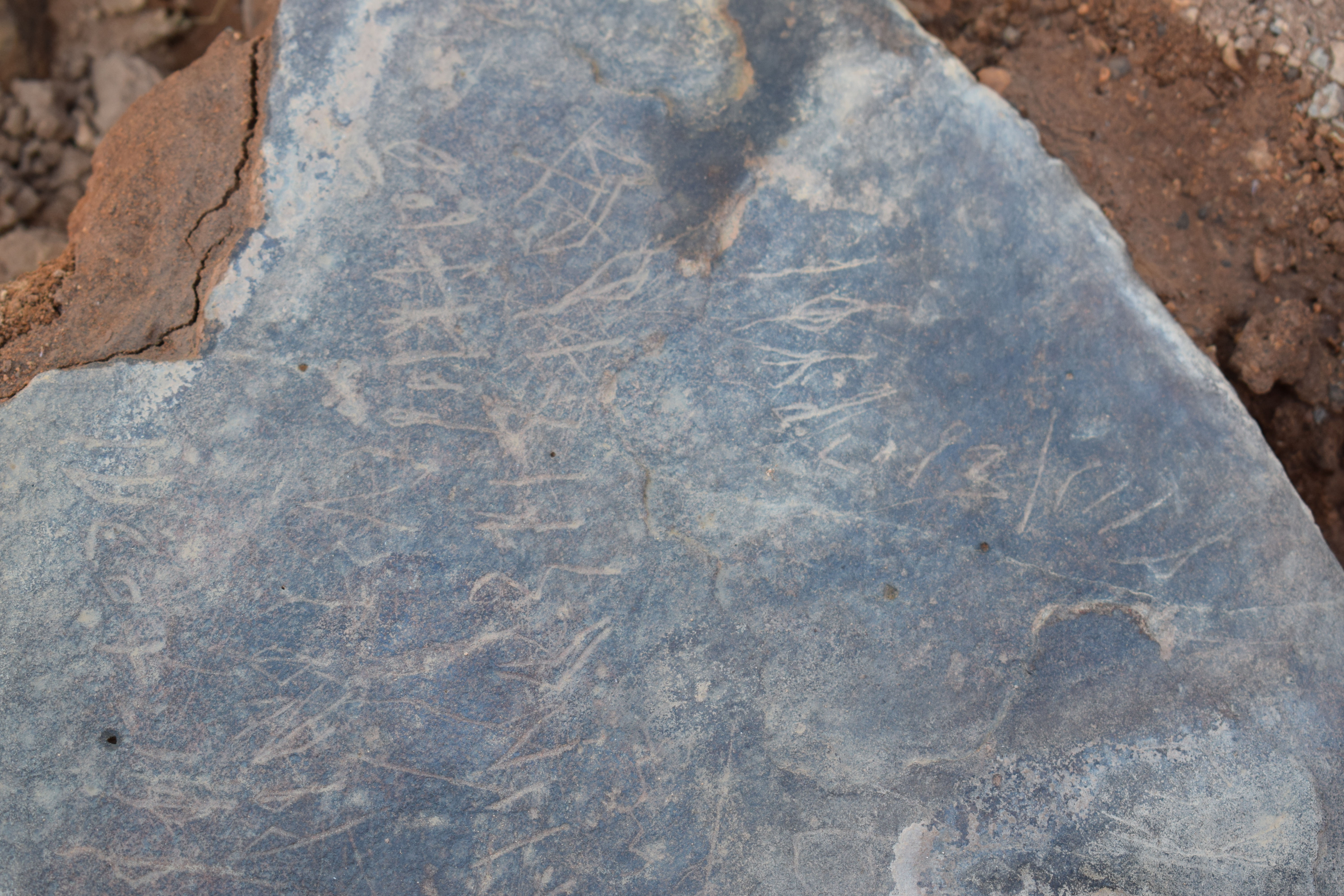Image of siglum BES20 677