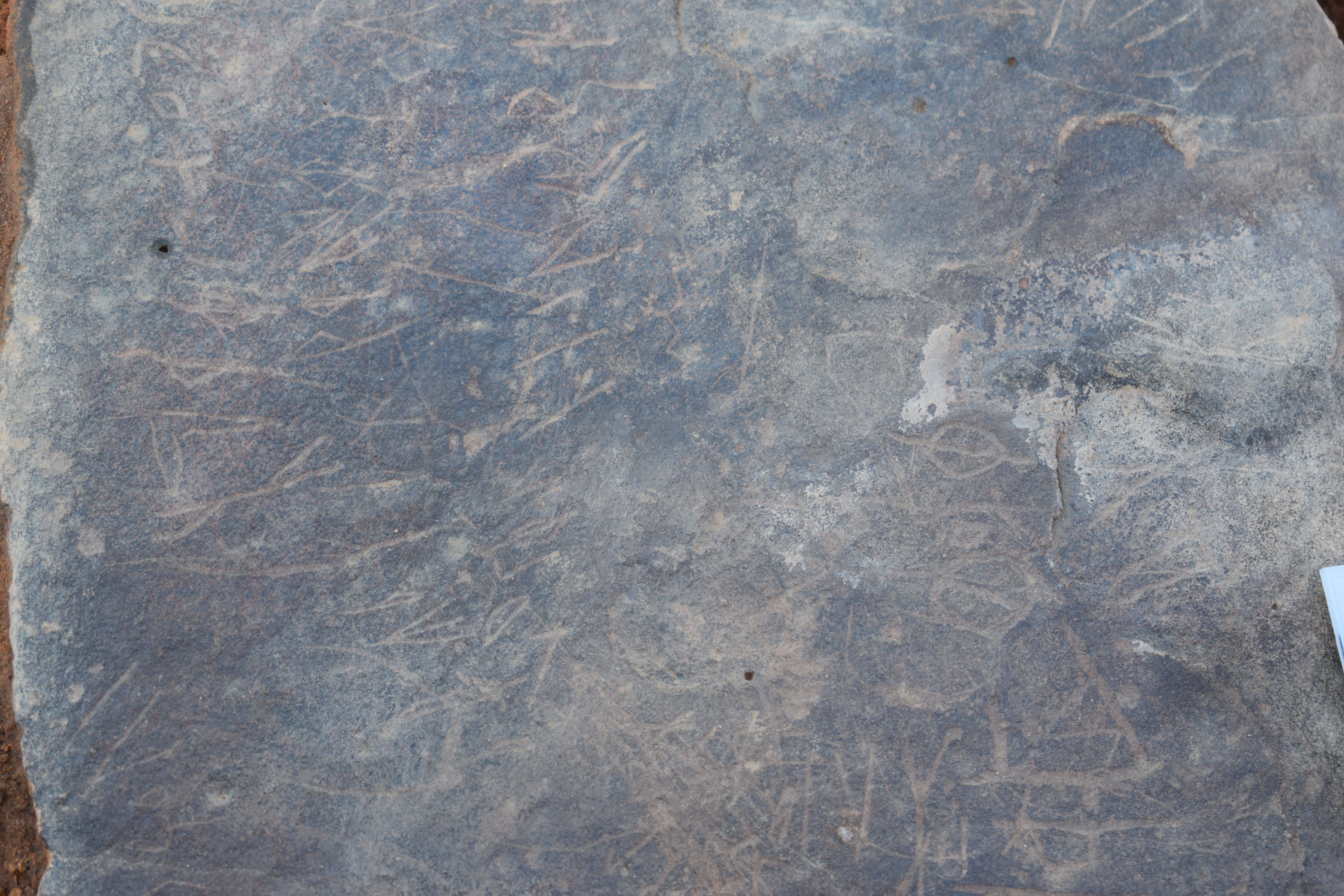 Image of siglum BES20 677