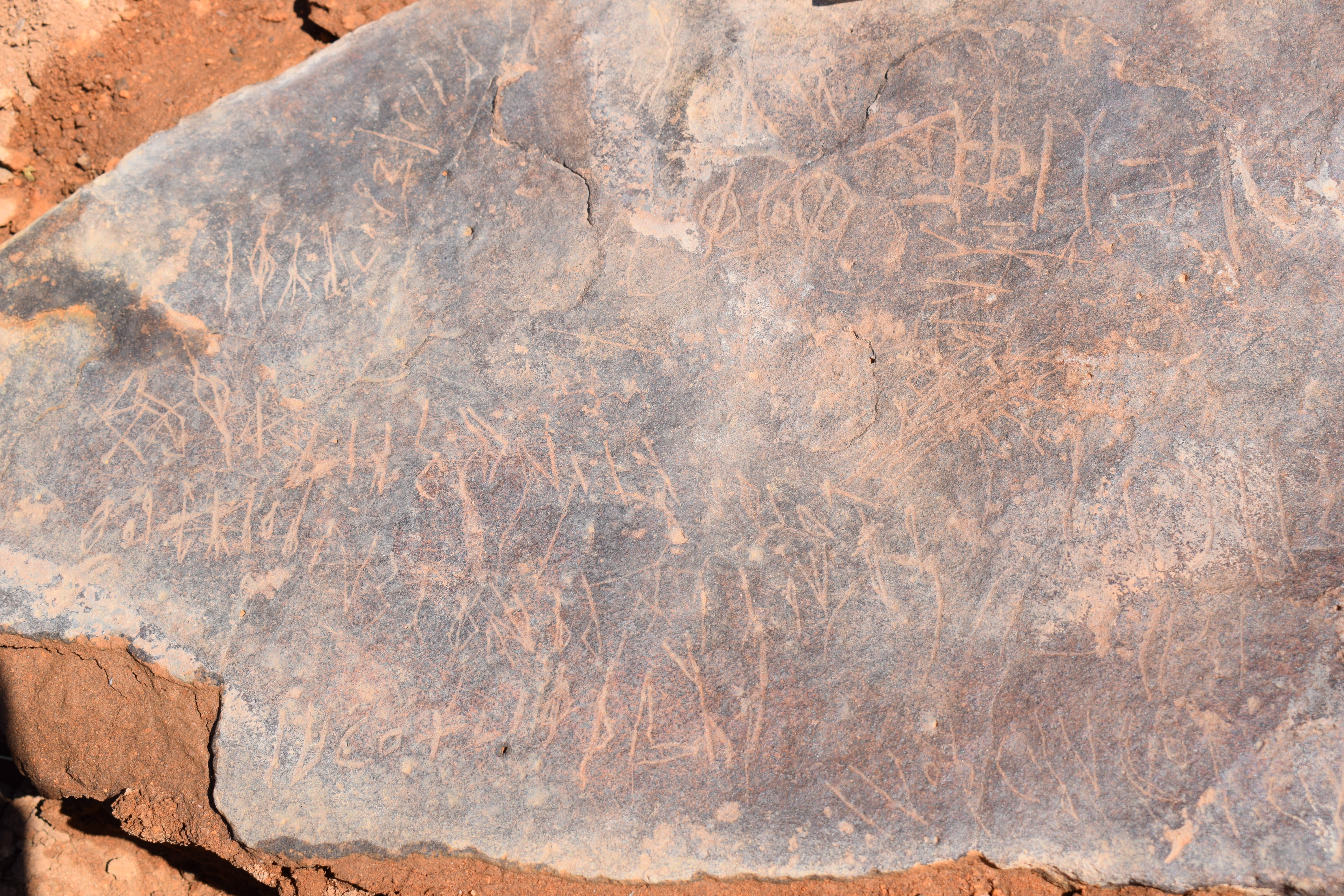 Image of siglum BES20 677