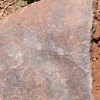 Image of siglum BES20 677
