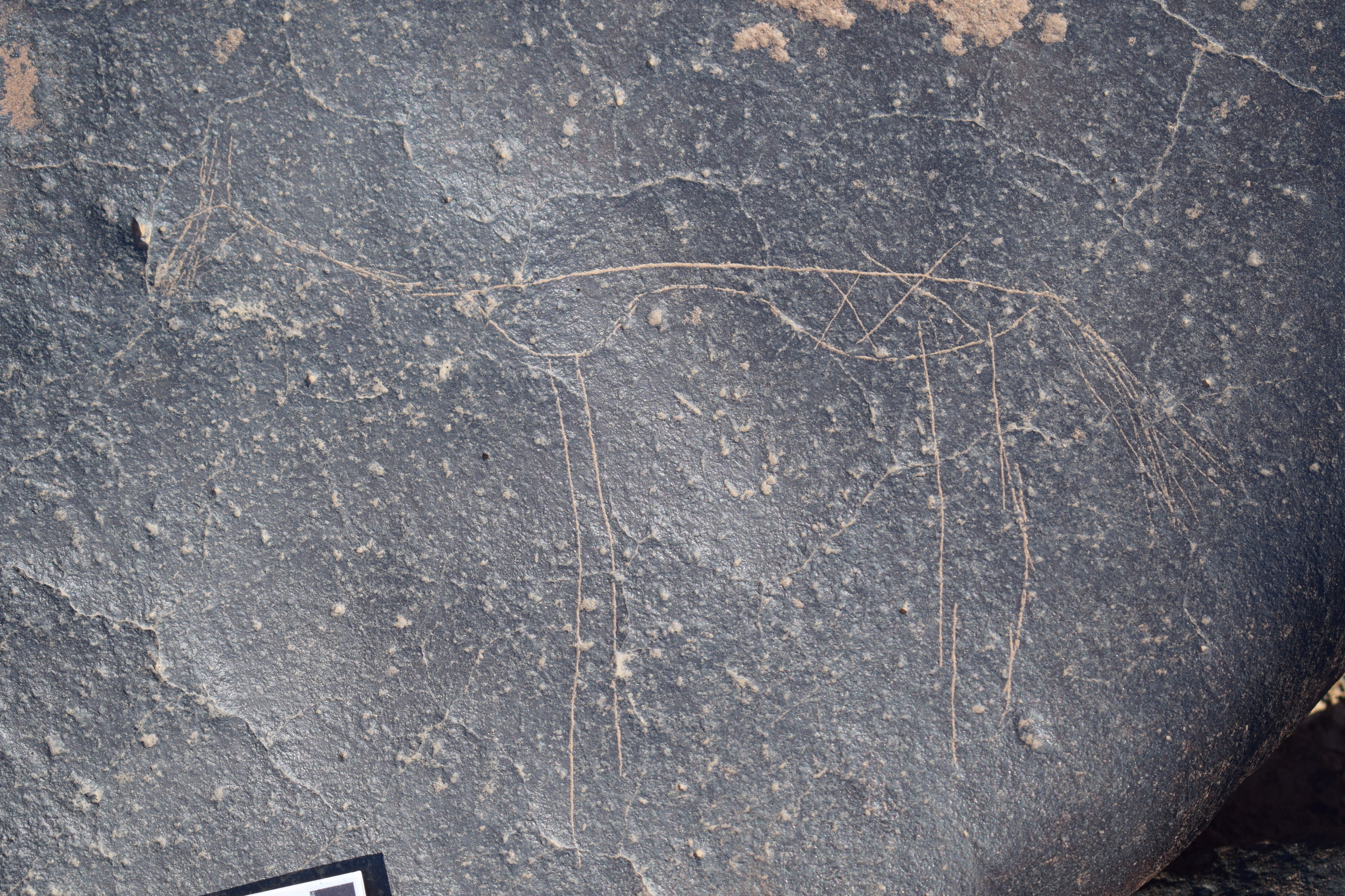 Image of siglum BES20 681