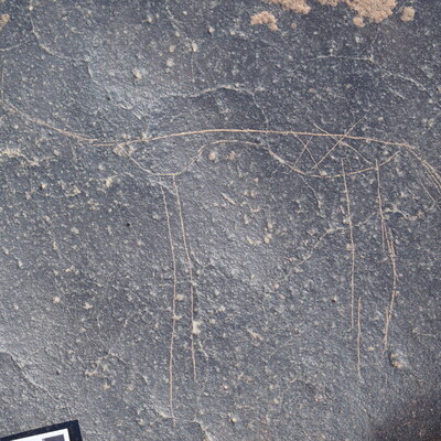 Image of siglum BES20 681