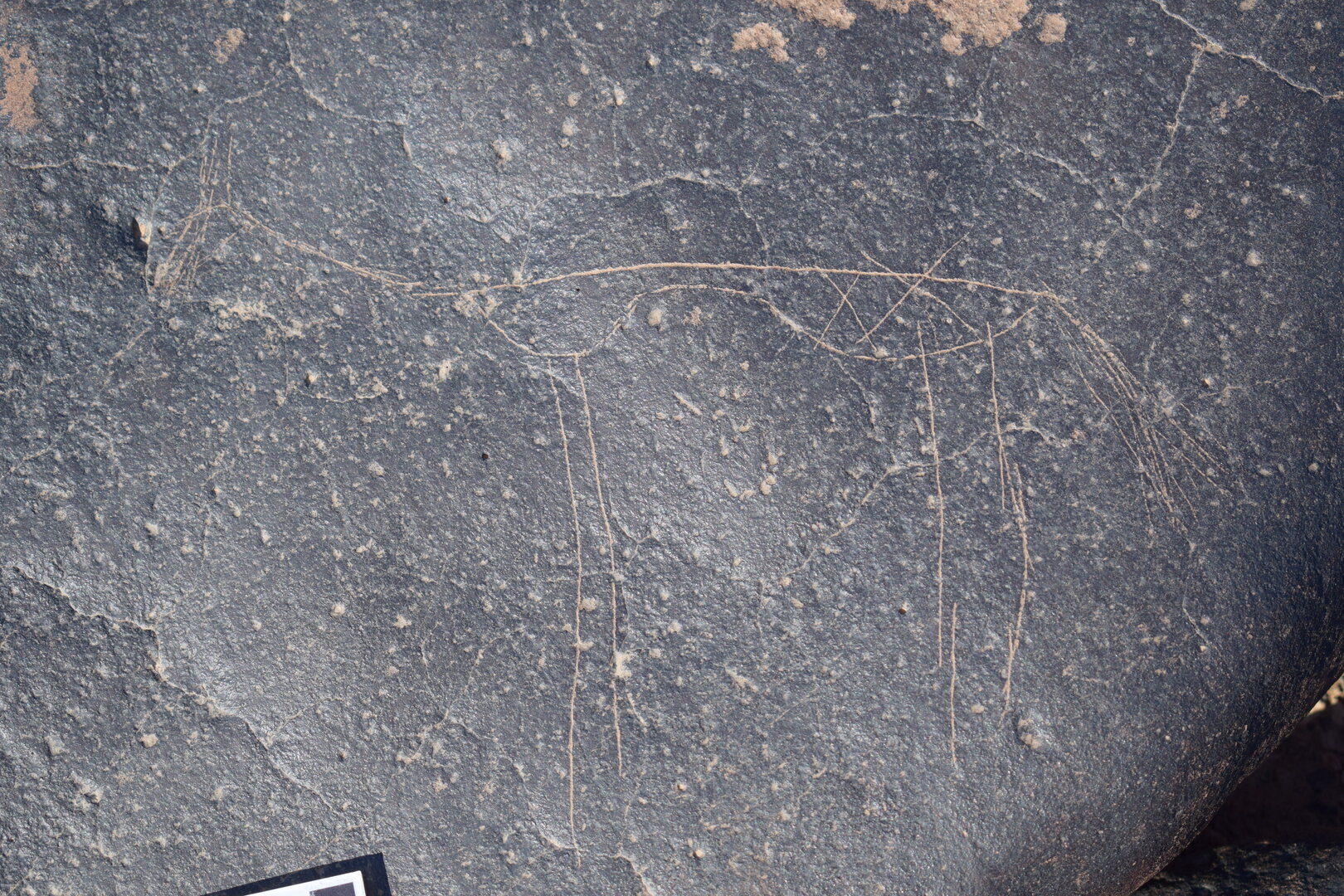 Image of siglum BES20 681