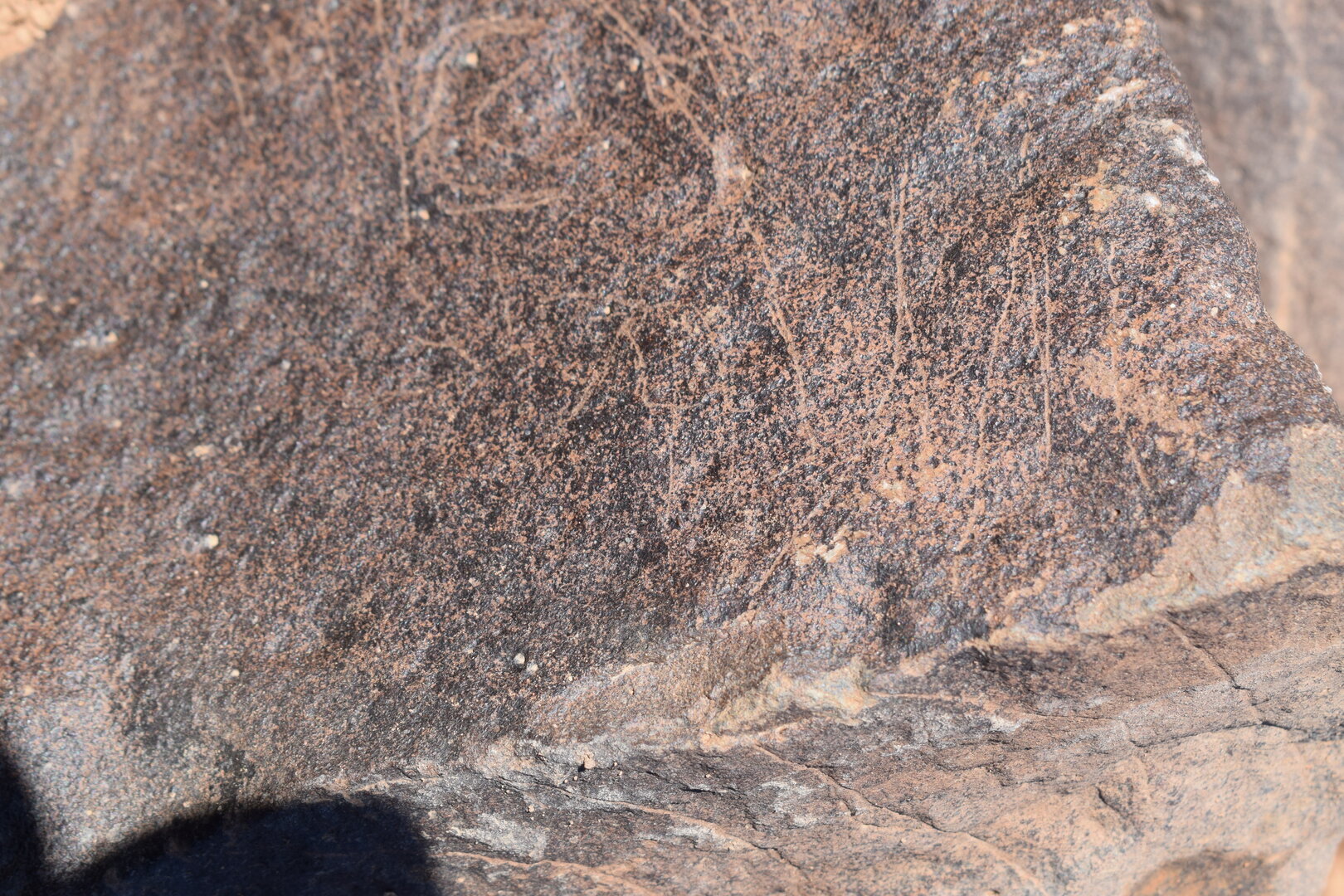 Image of siglum BES20 682