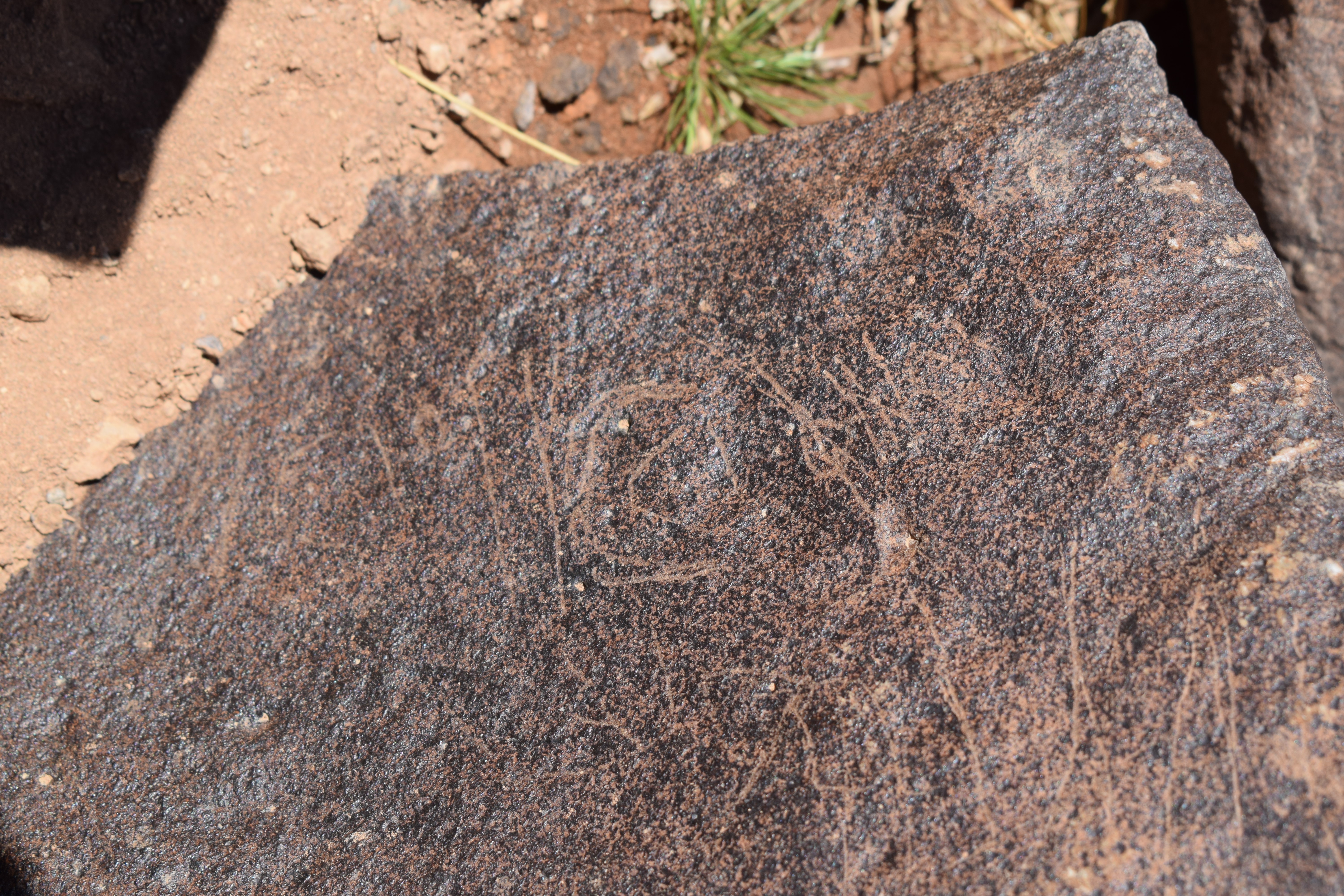 Image of siglum BES20 683