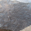 Image of siglum BES20 683