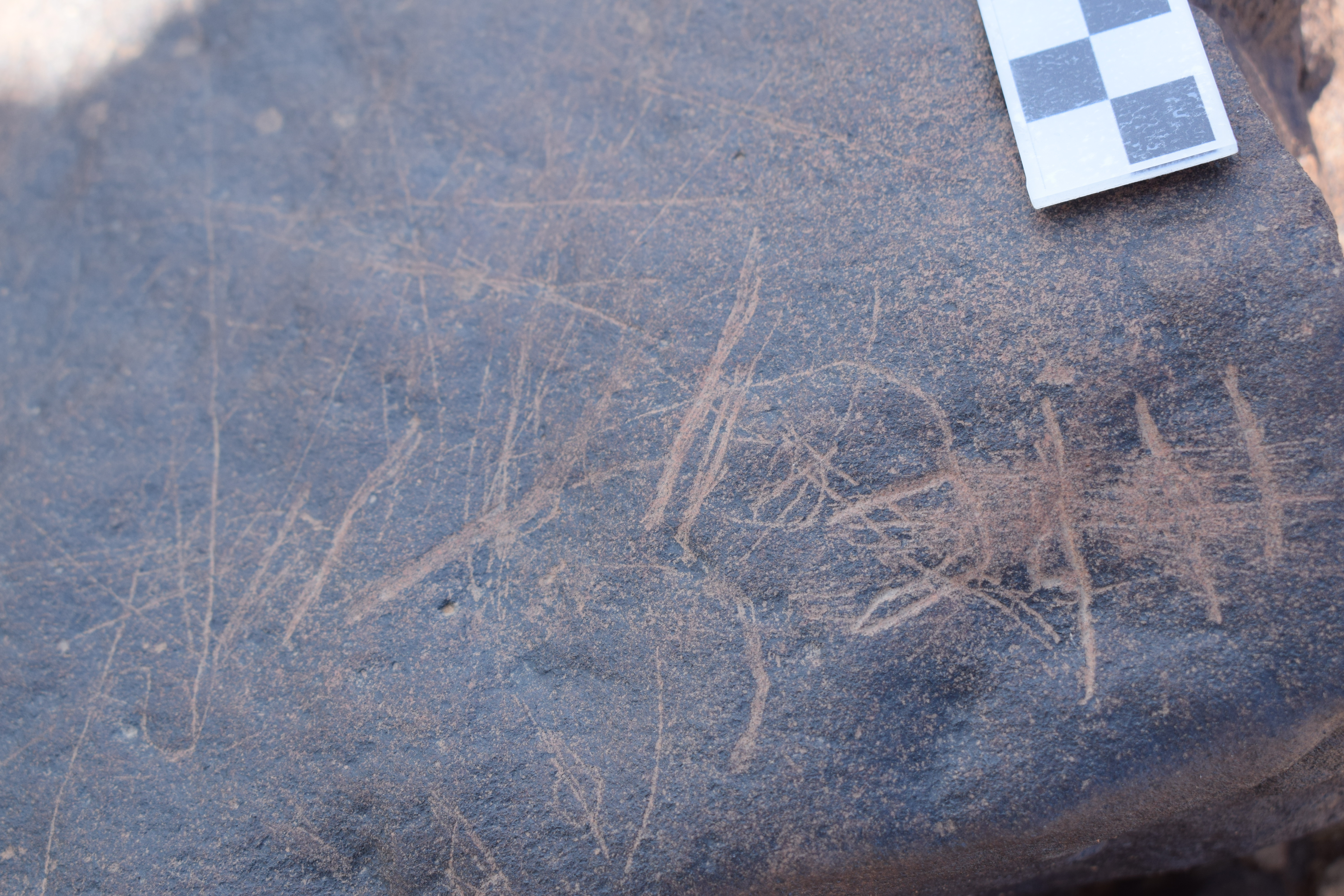 Image of siglum BES20 685