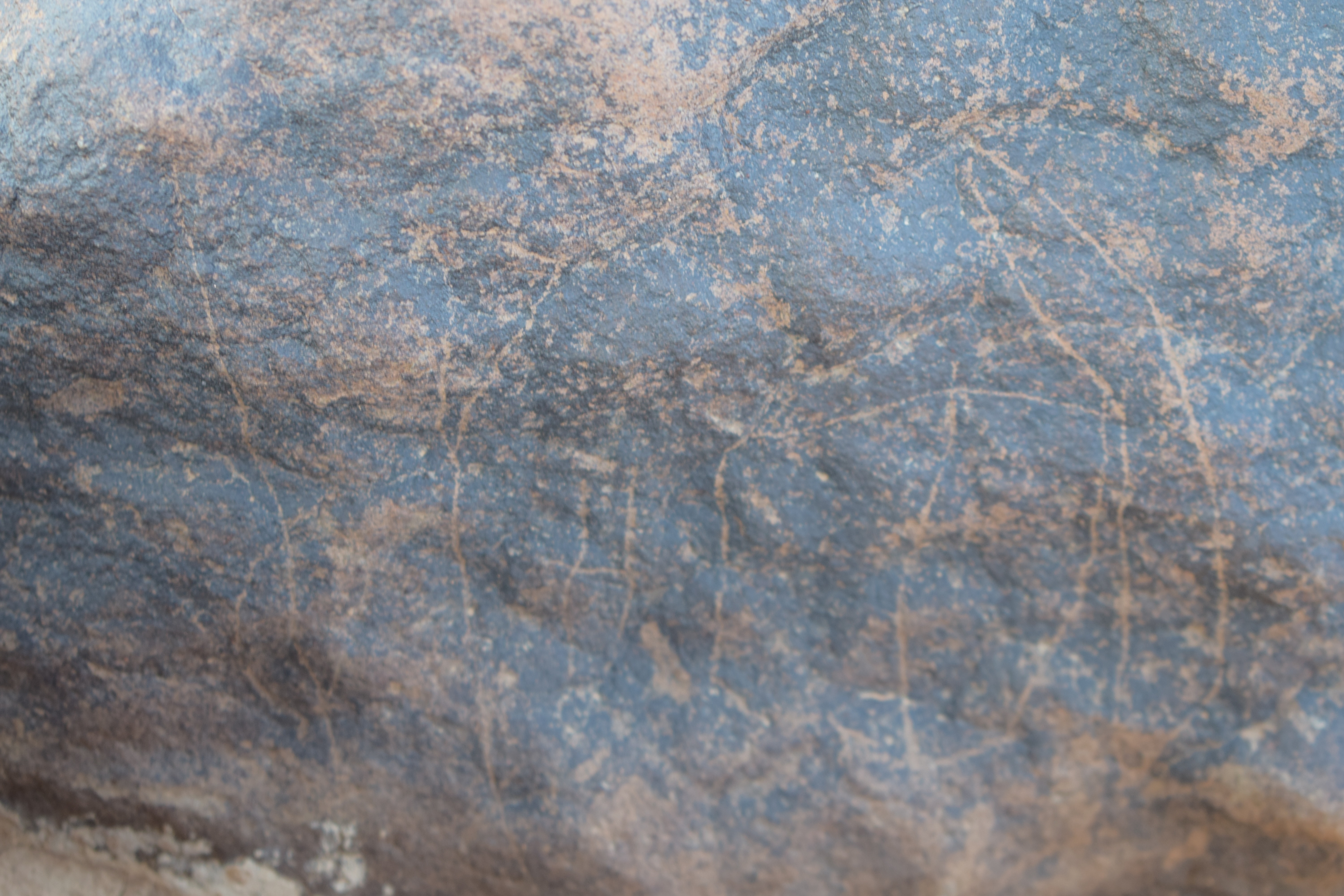 Image of siglum BES20 686