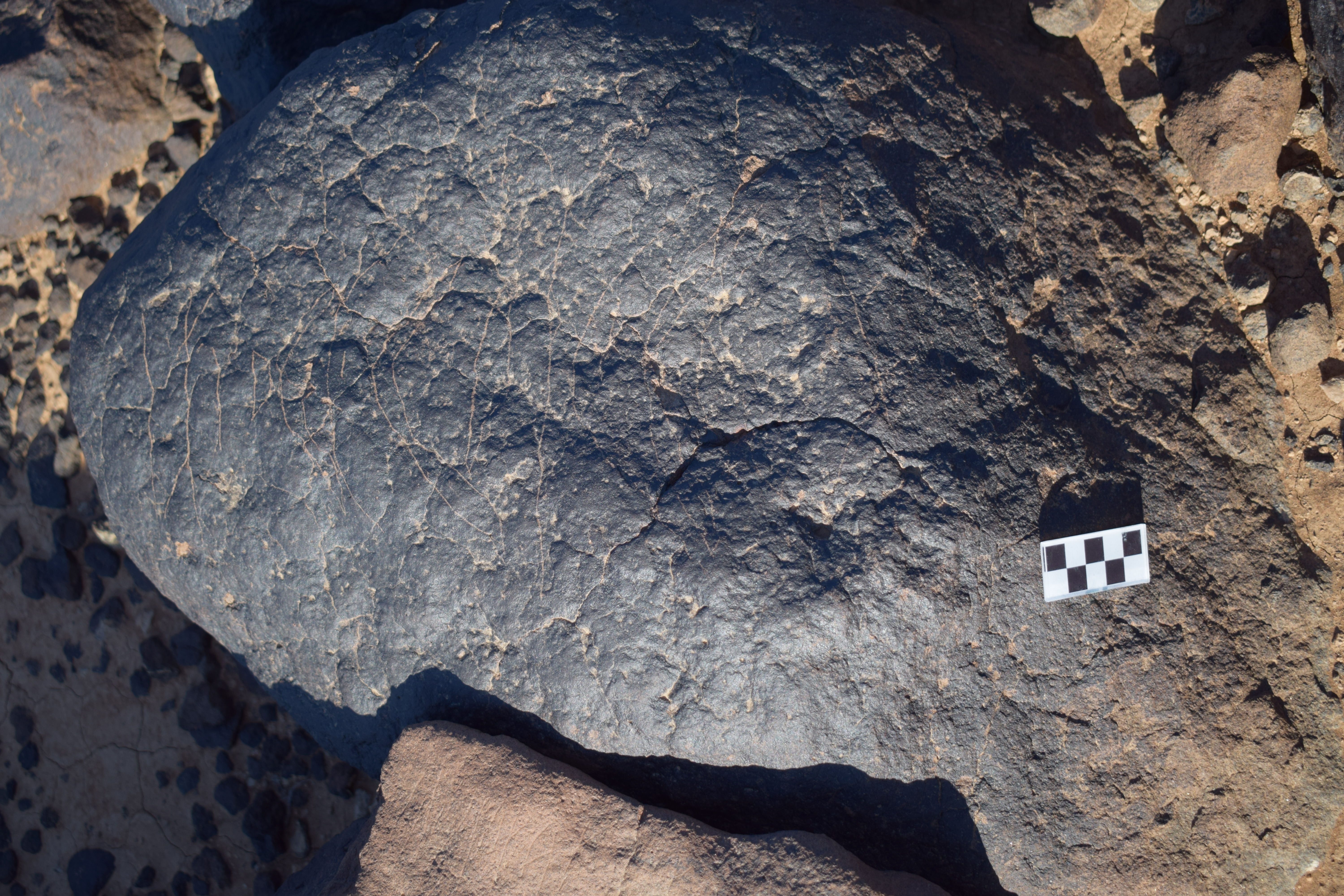 Image of siglum BES20 687