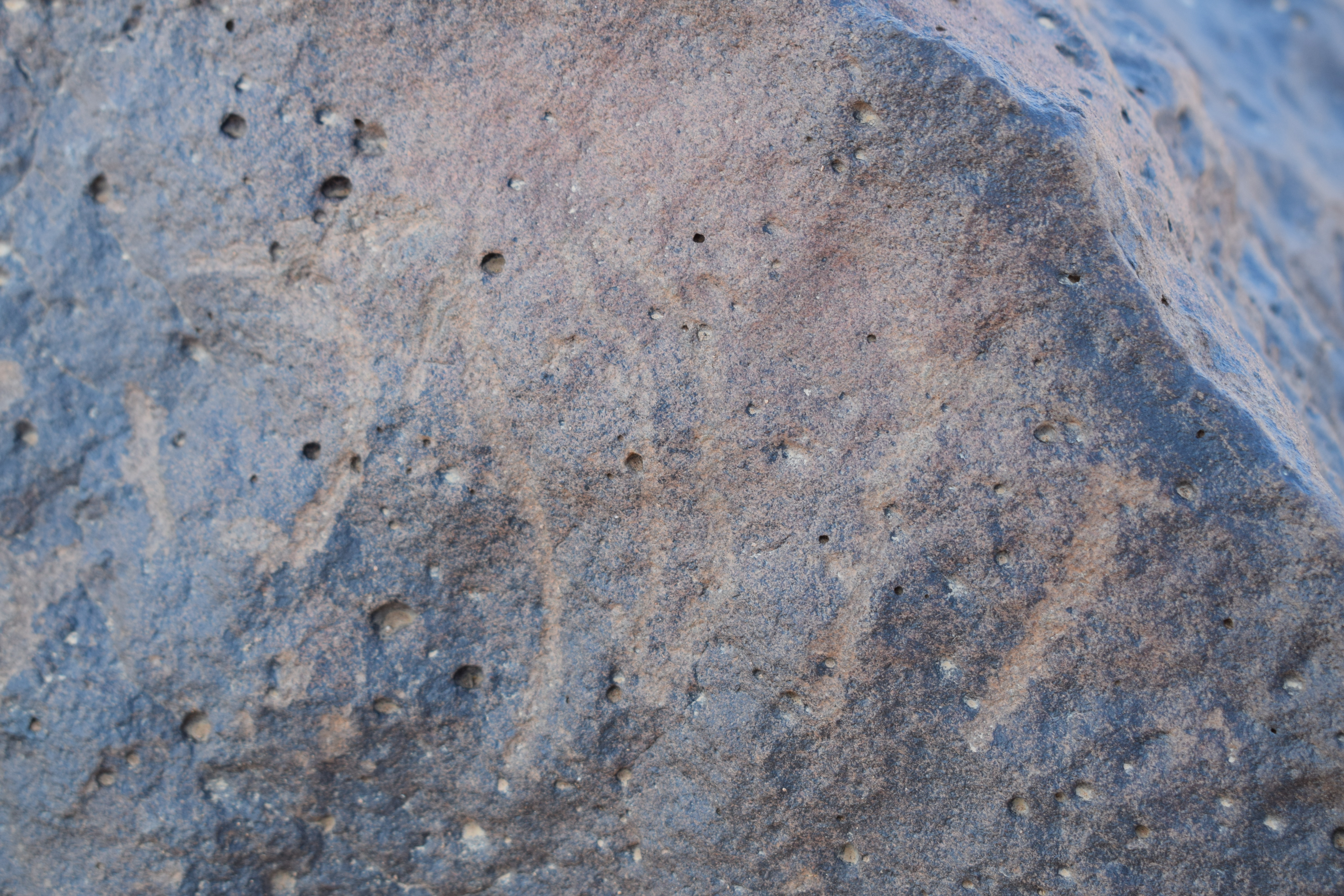 Image of siglum BES20 687