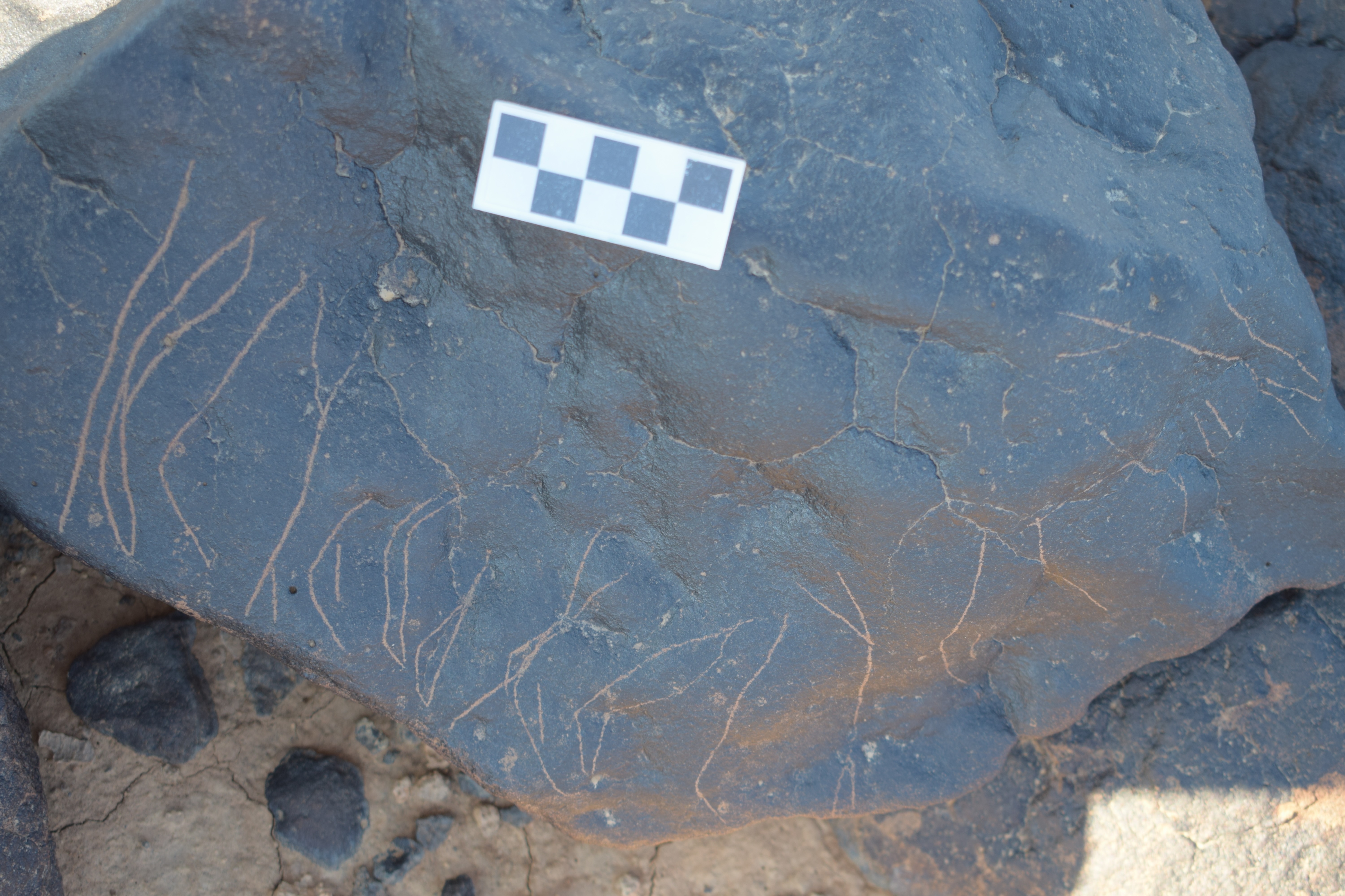 Image of siglum BES20 688