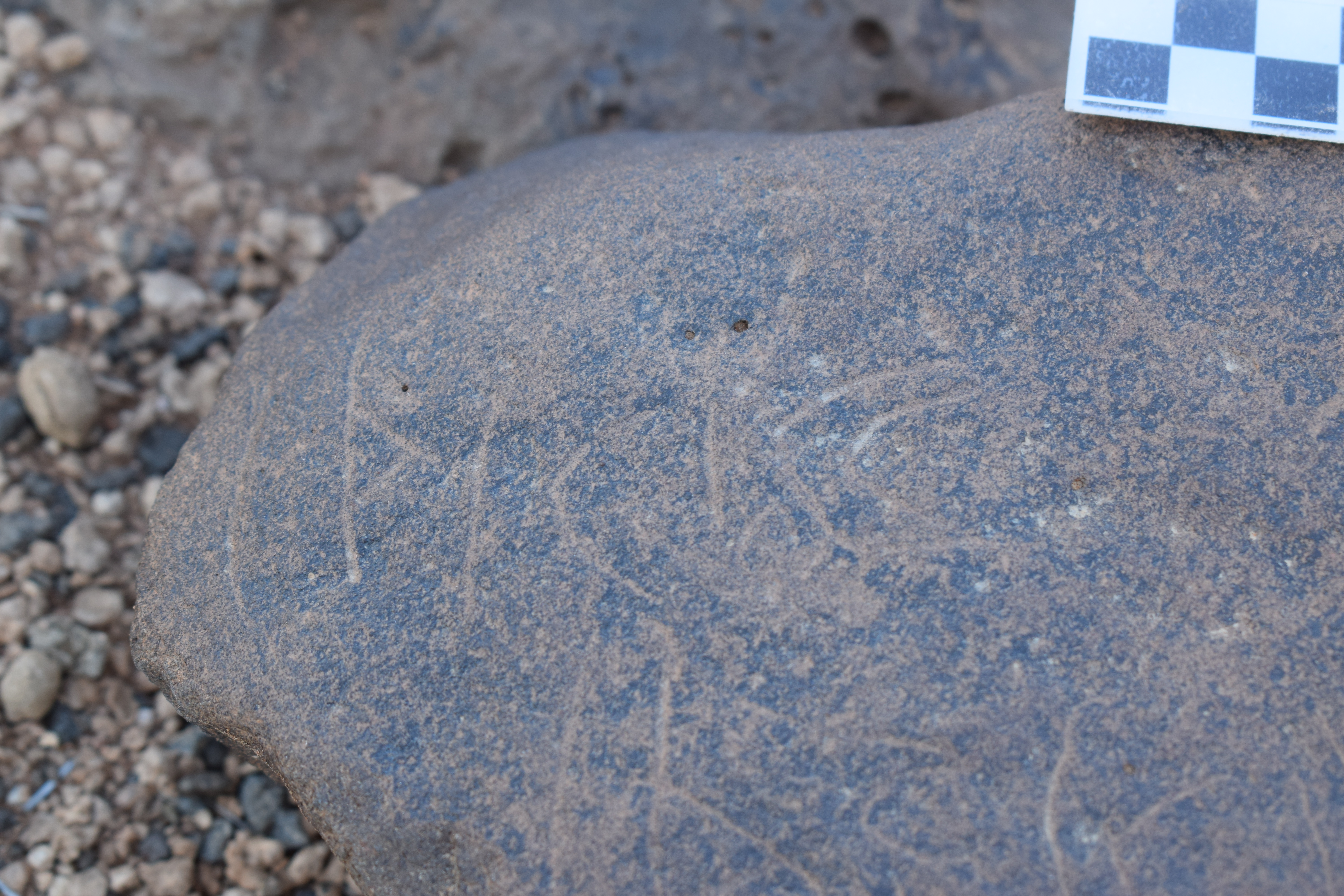 Image of siglum BES20 689