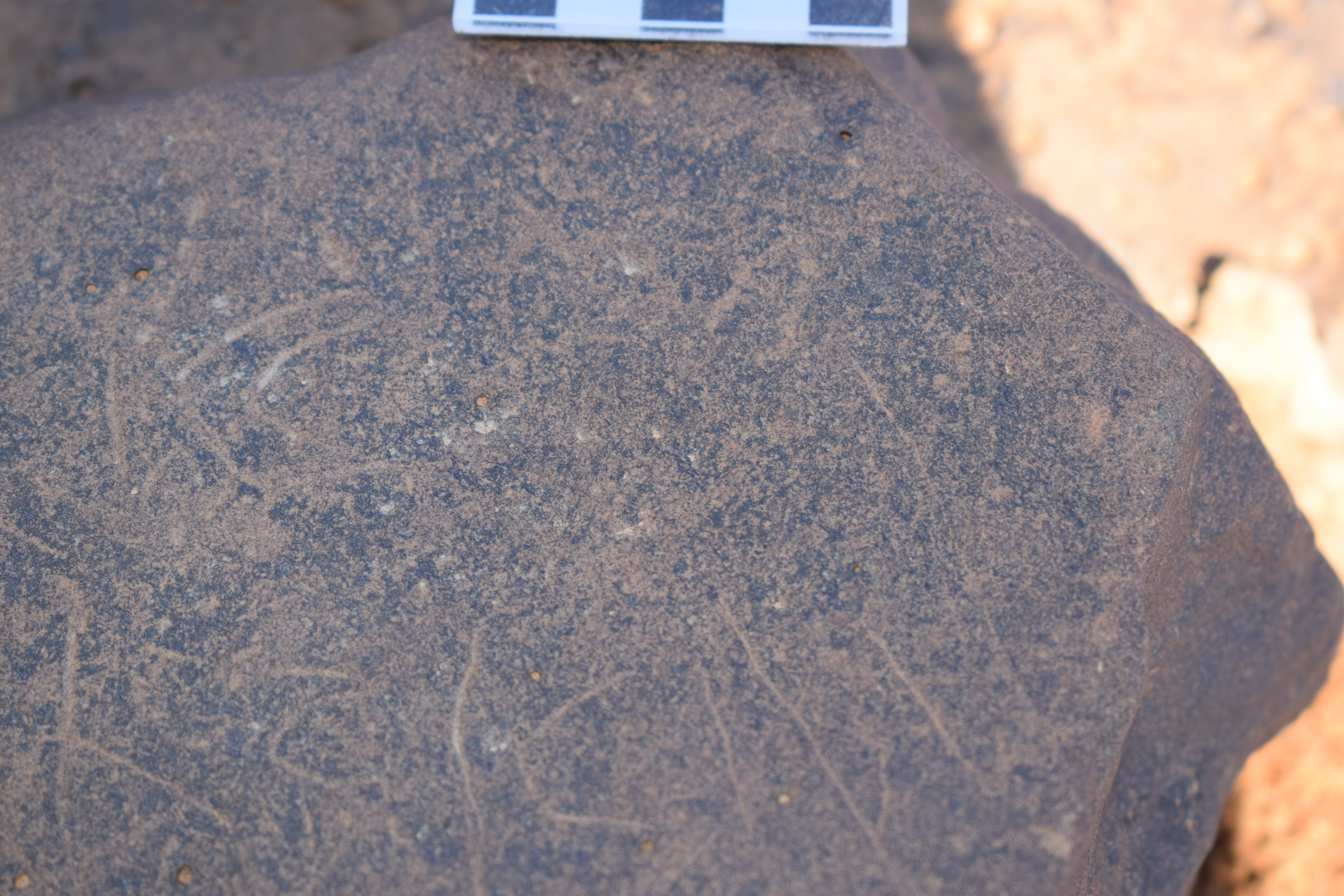 Image of siglum BES20 689