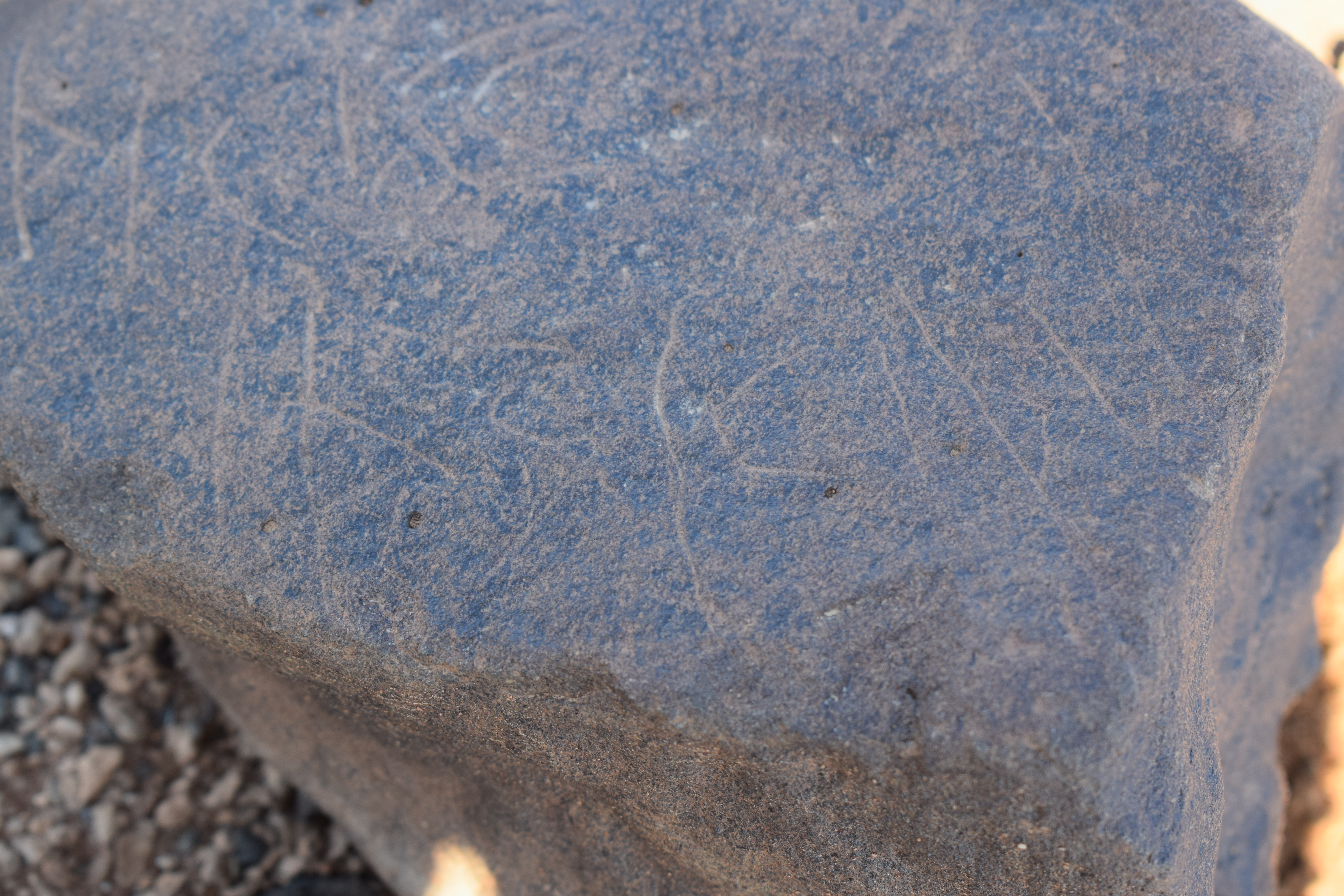 Image of siglum BES20 689