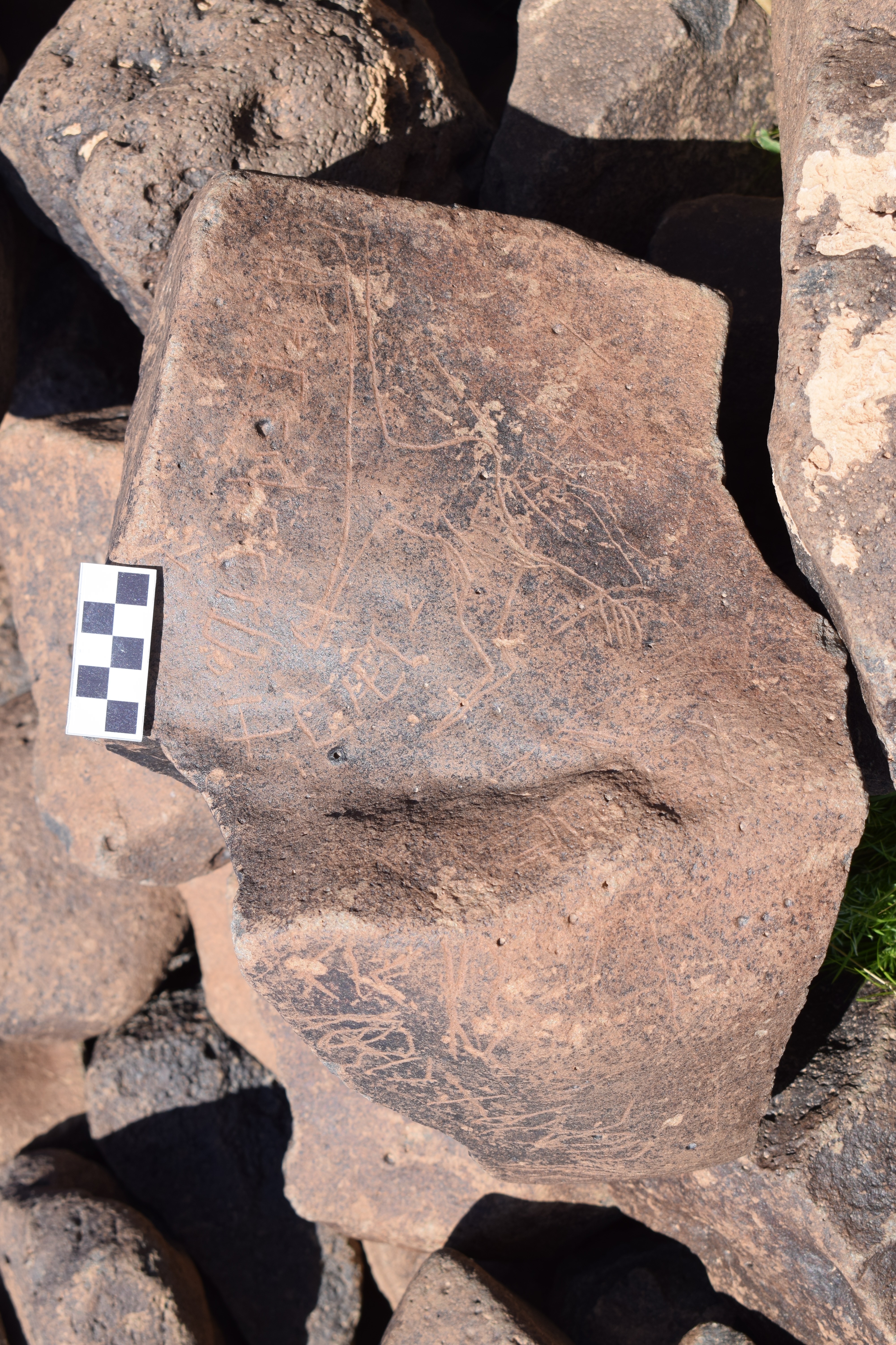 Image of siglum BES20 690