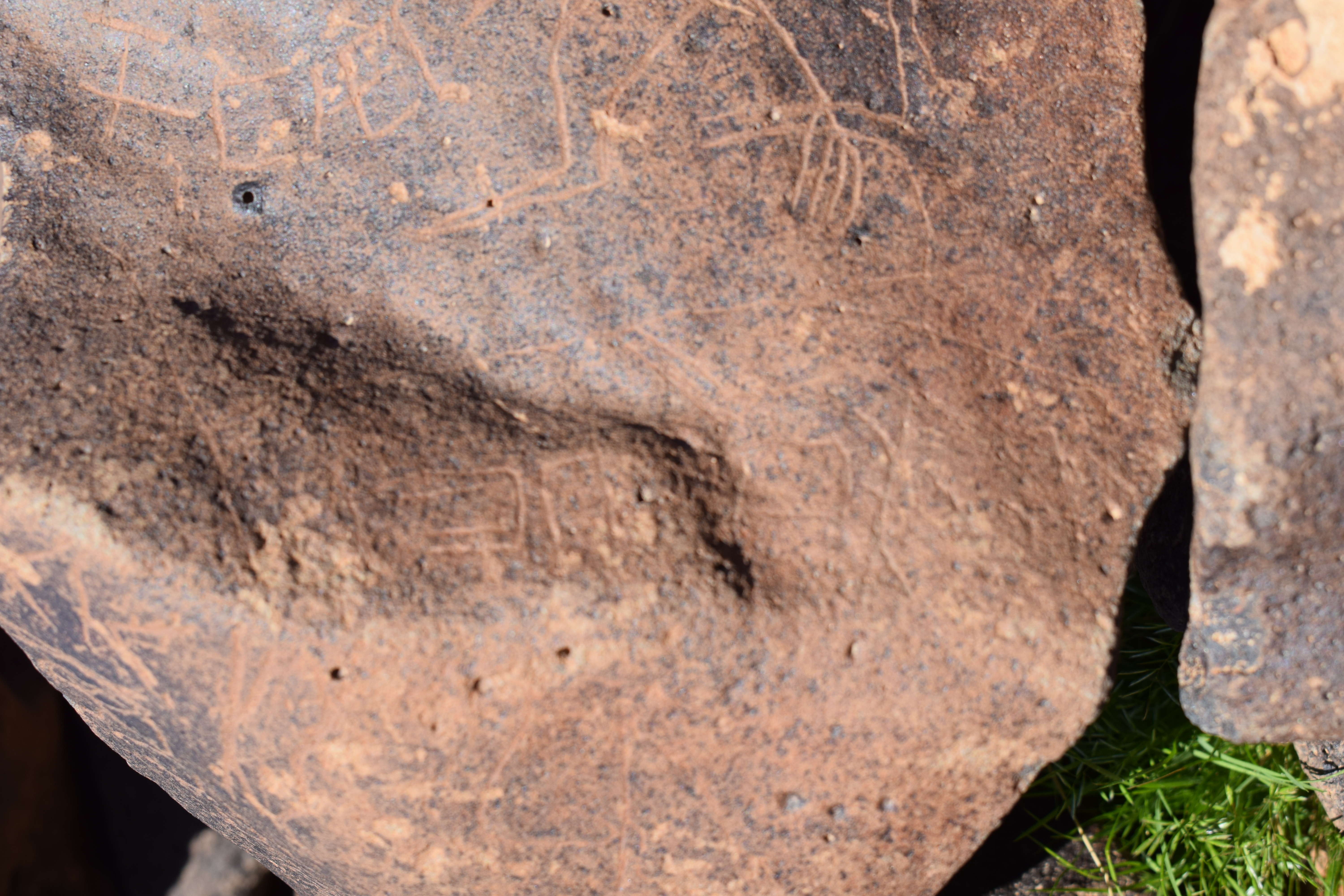 Image of siglum BES20 690