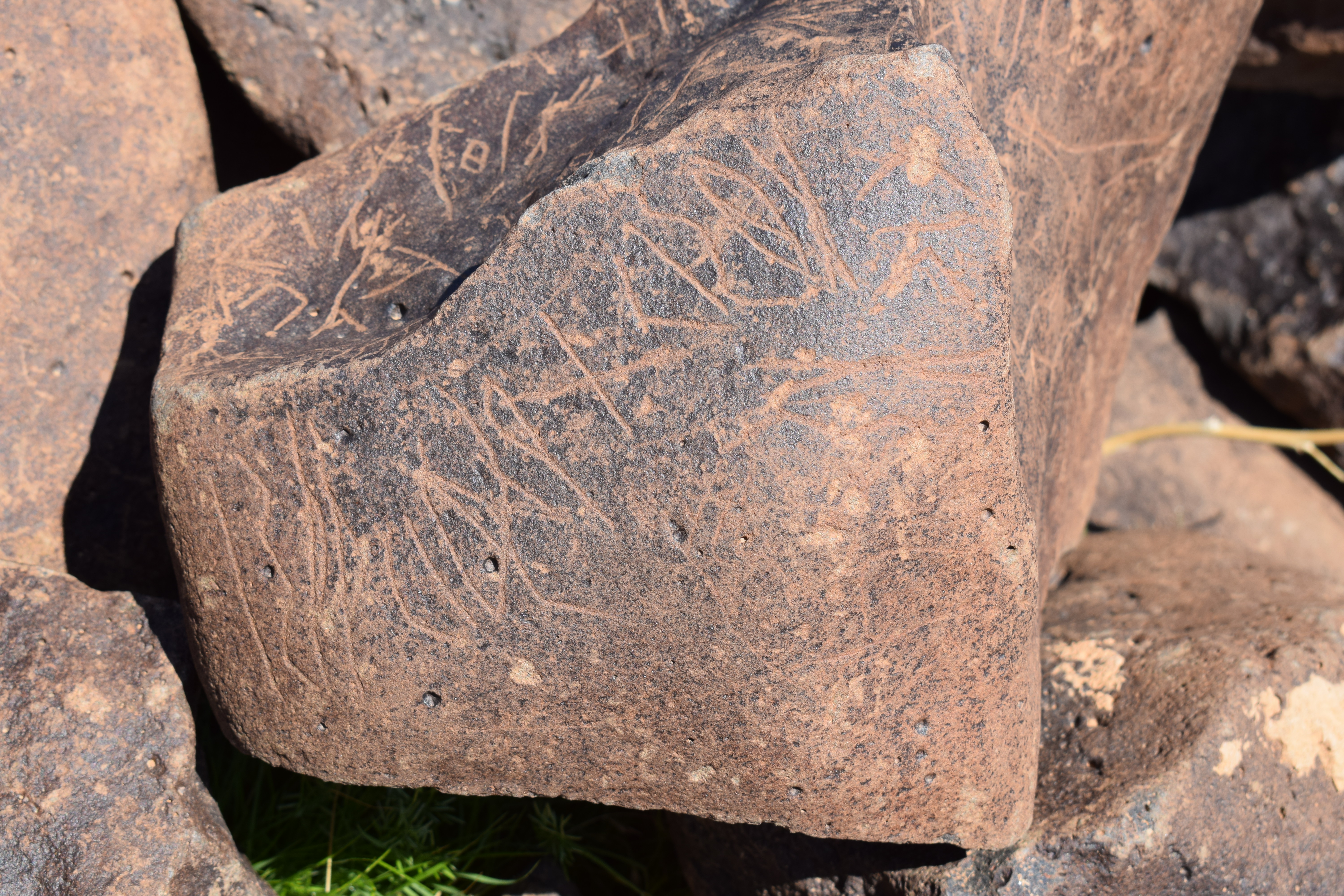 Image of siglum BES20 690