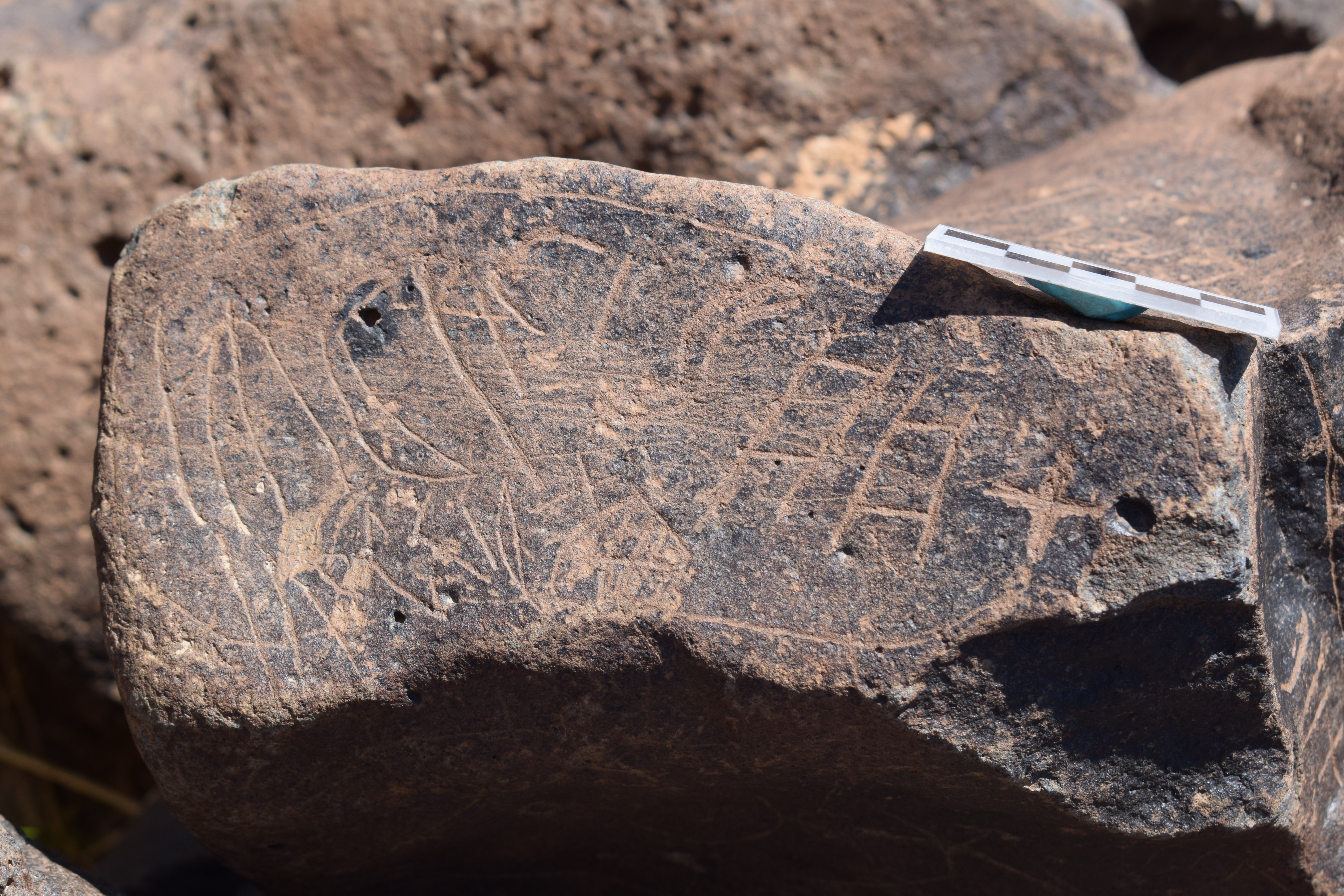 Image of siglum BES20 690