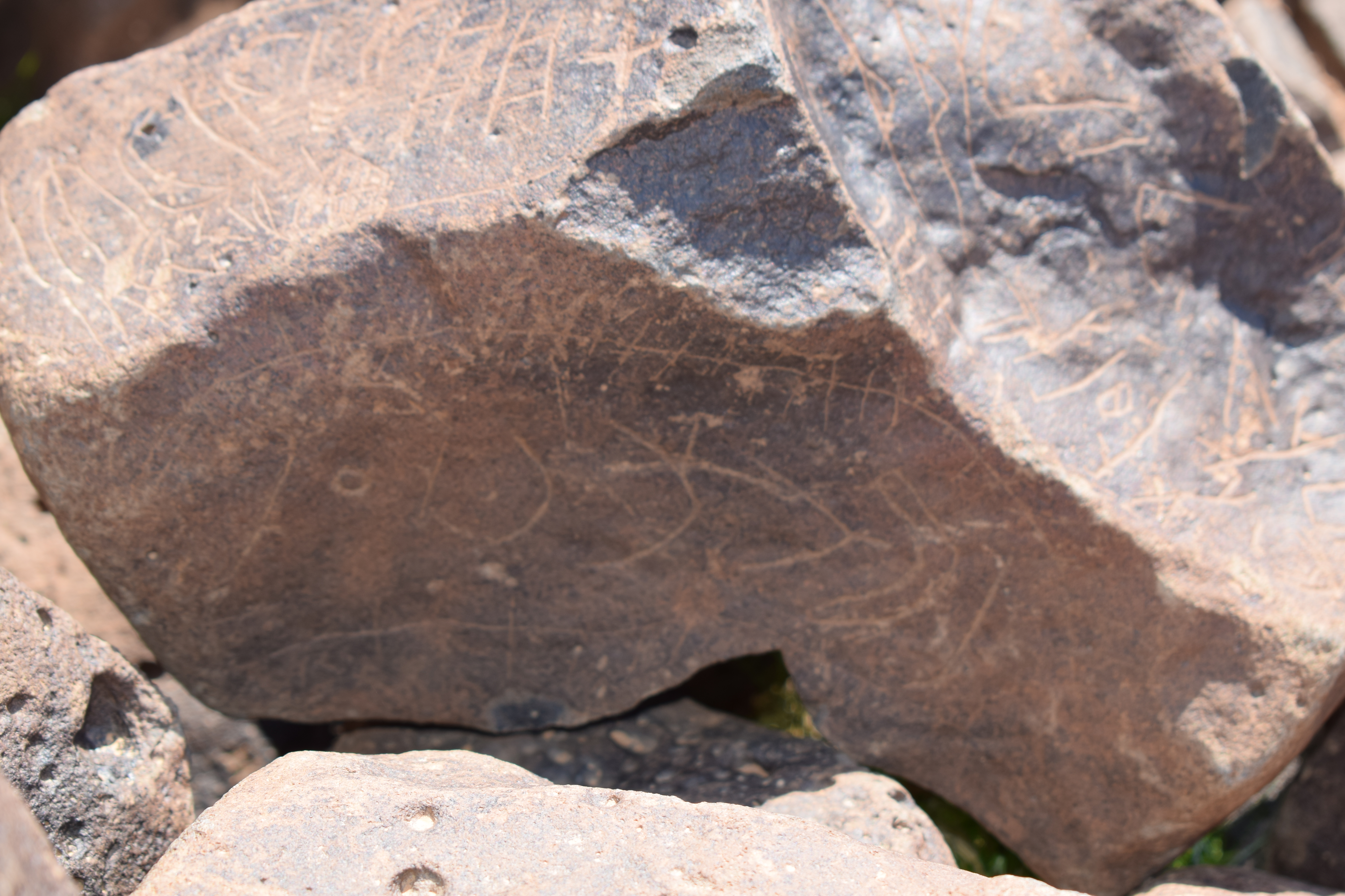 Image of siglum BES20 690