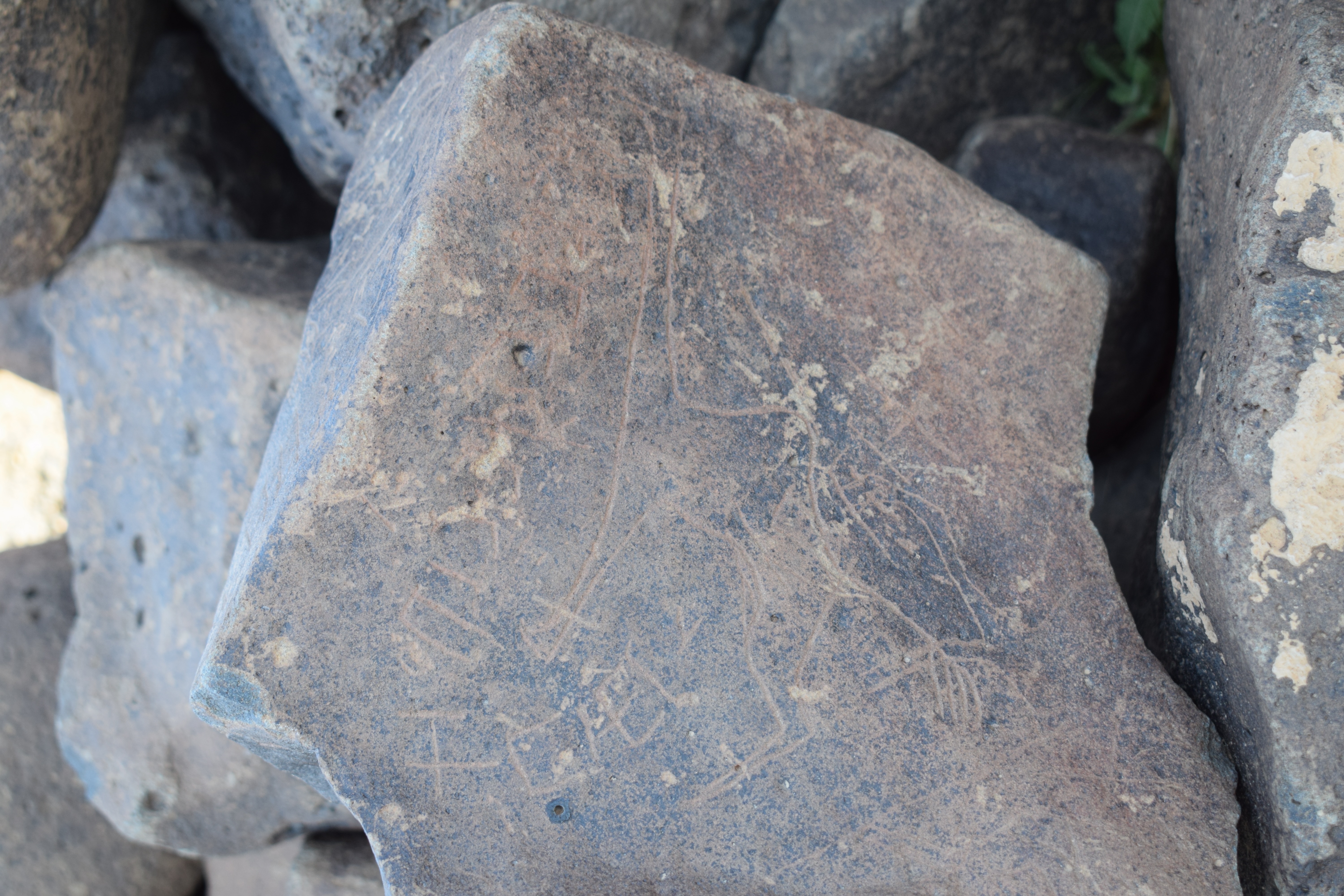 Image of siglum BES20 690