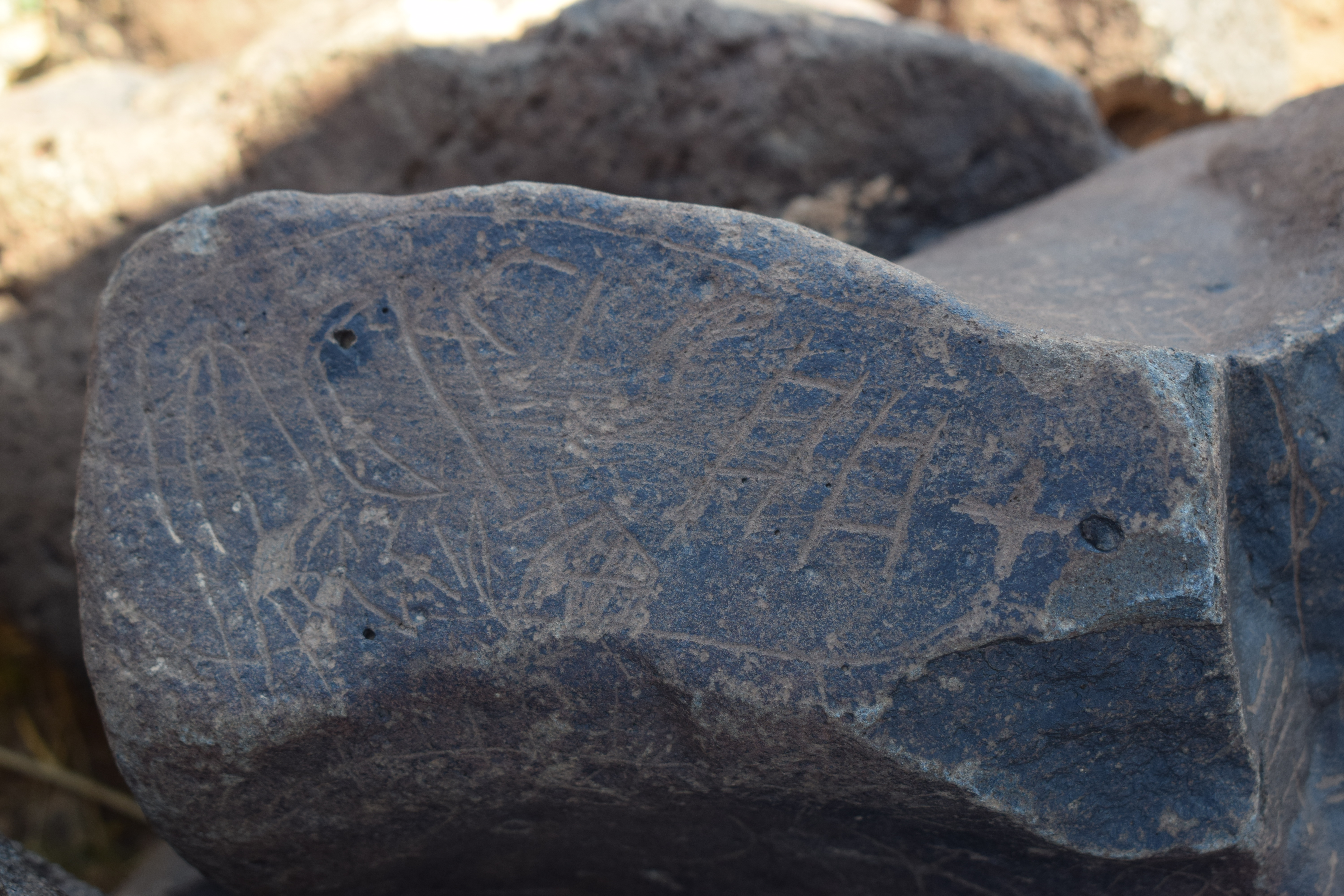 Image of siglum BES20 691