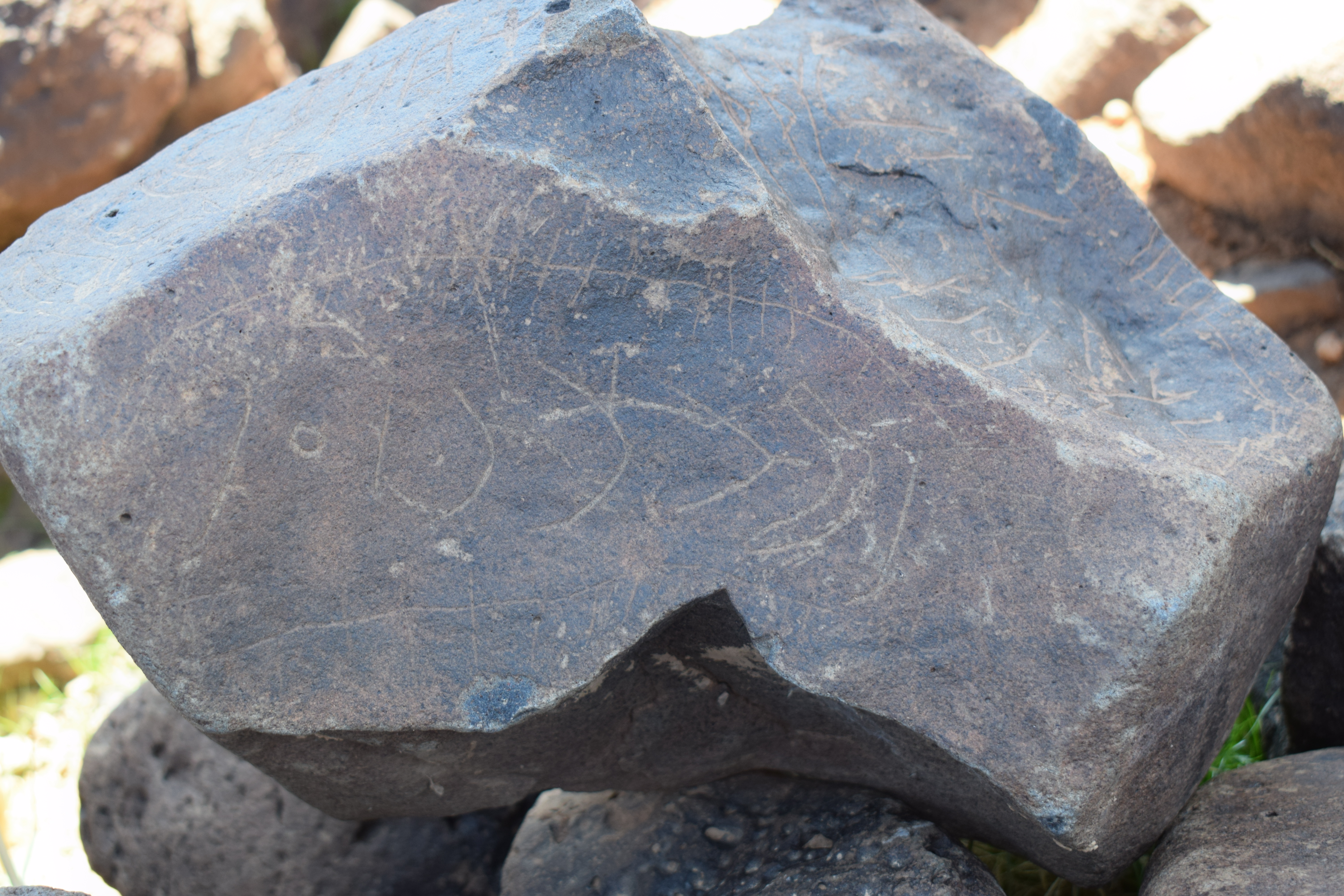 Image of siglum BES20 694