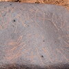 Image of siglum BES20 695