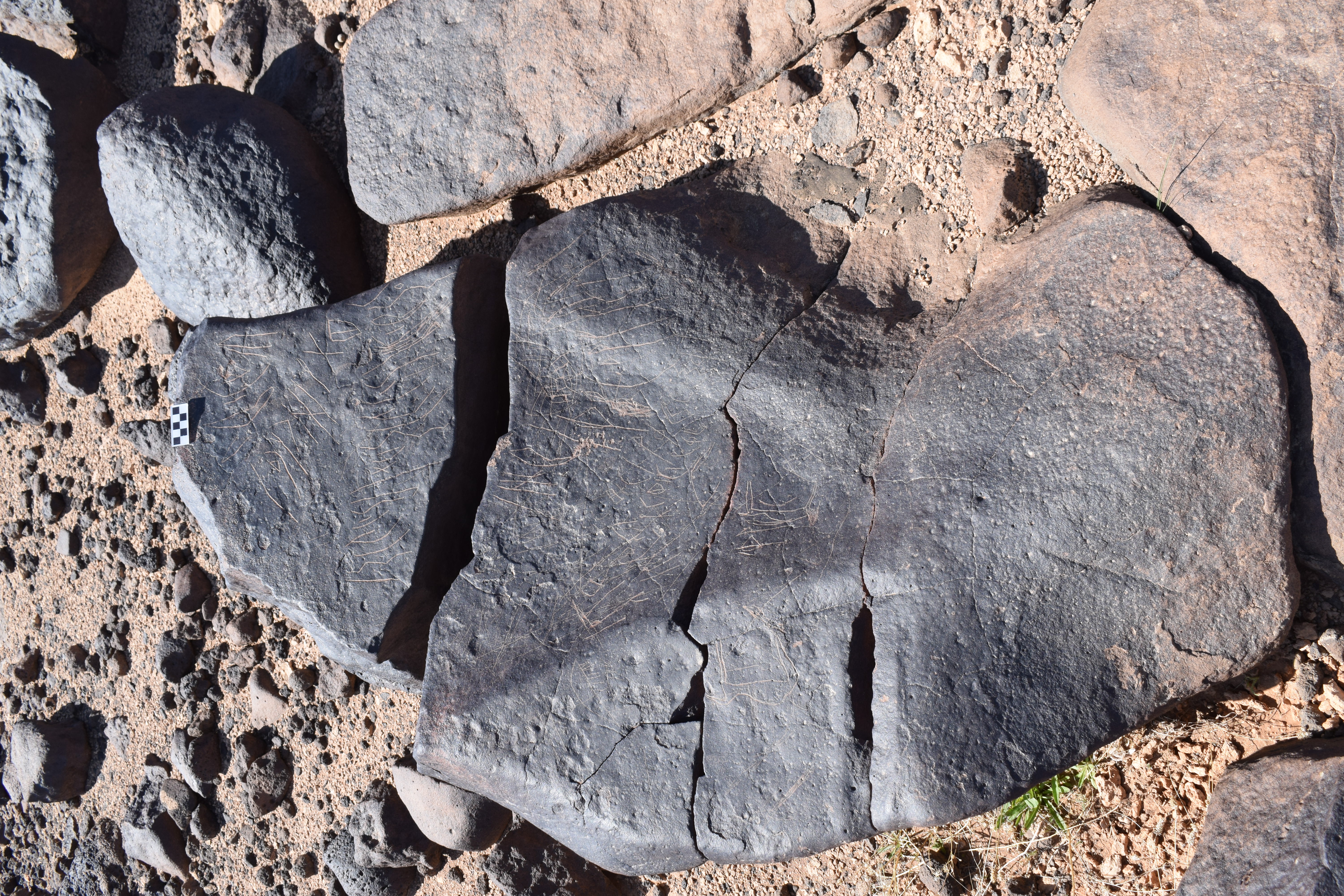 Image of siglum BES20 698