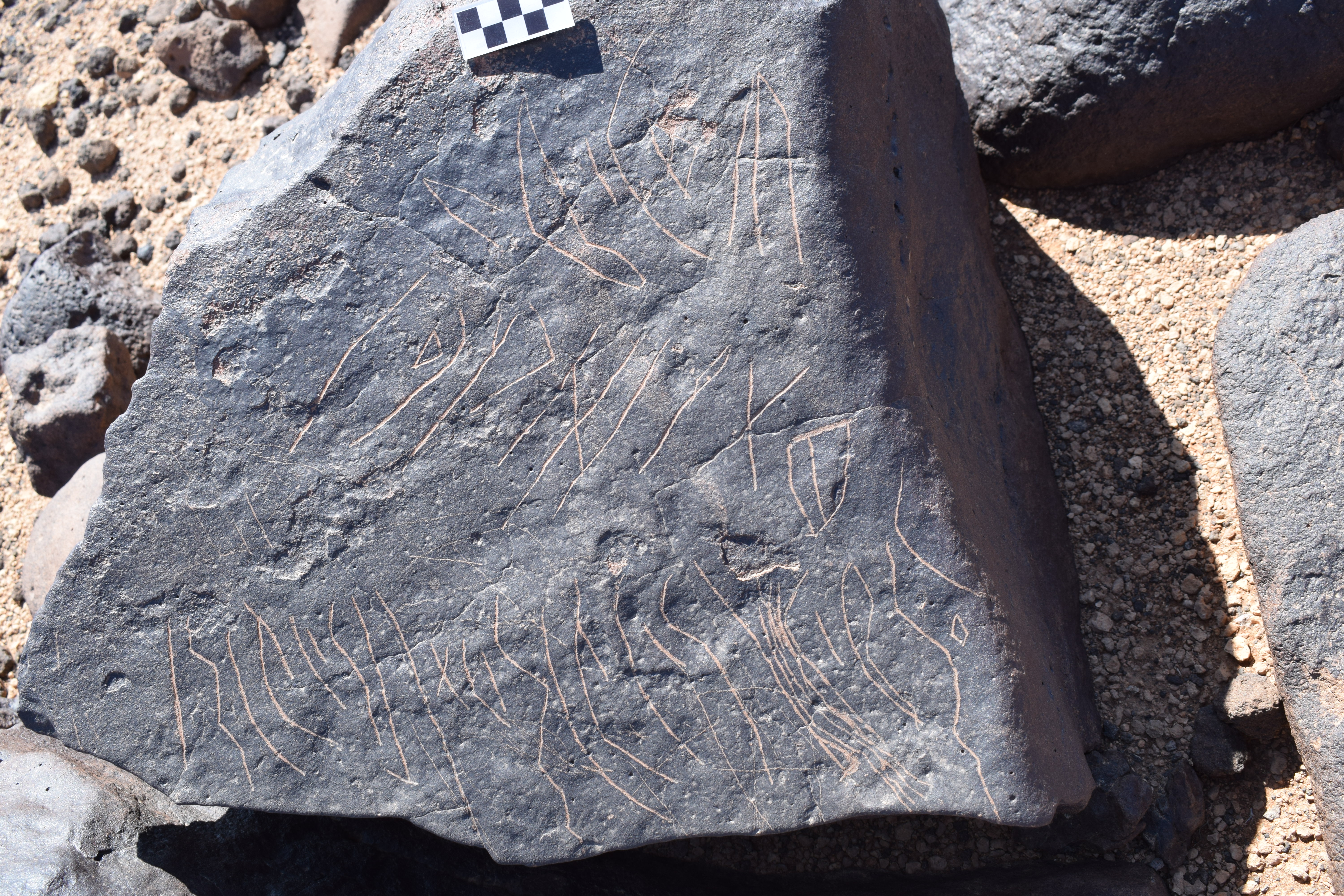 Image of siglum BES20 698