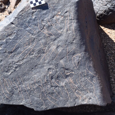 Image of siglum BES20 698