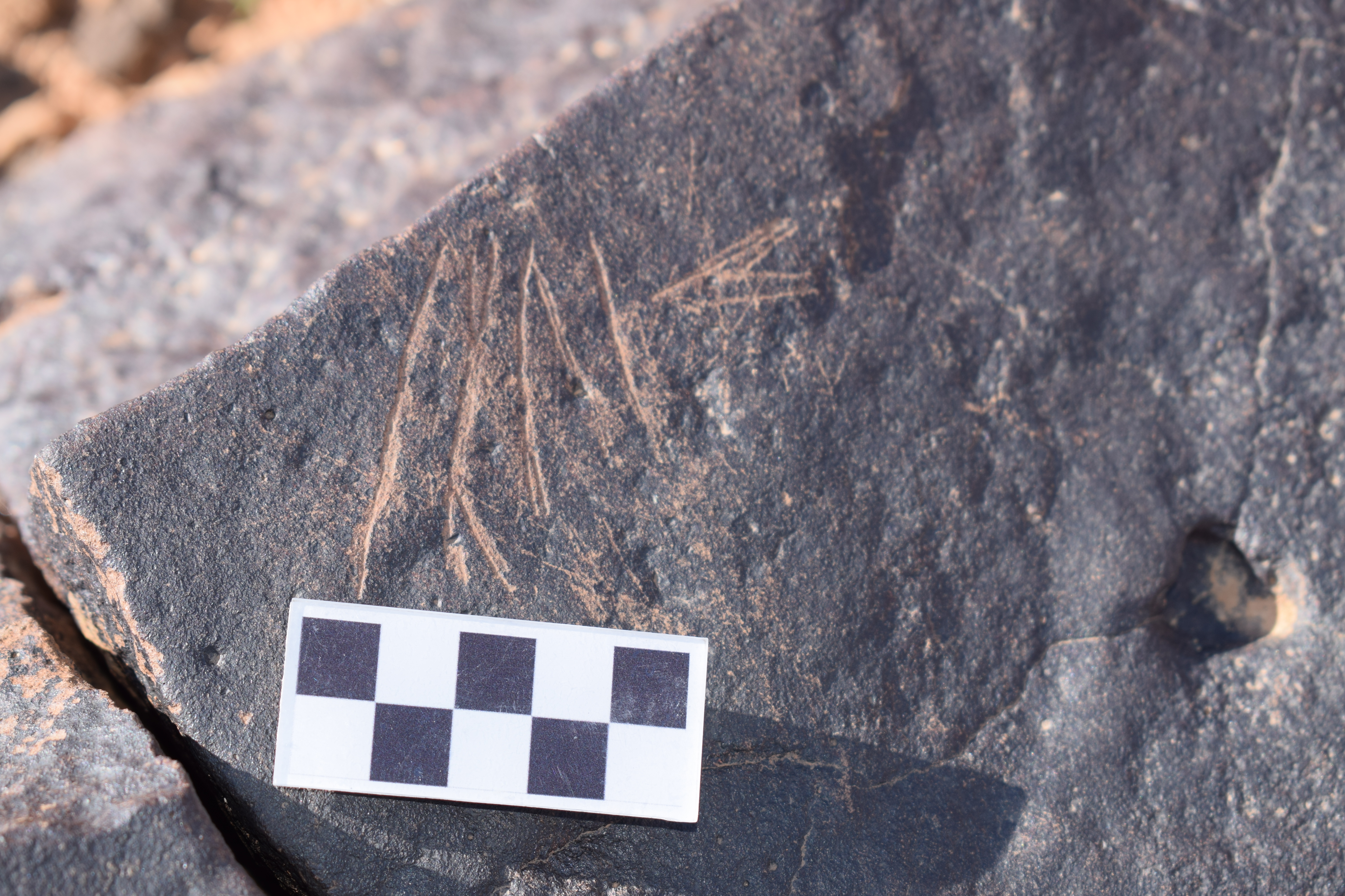 Image of siglum BES20 699