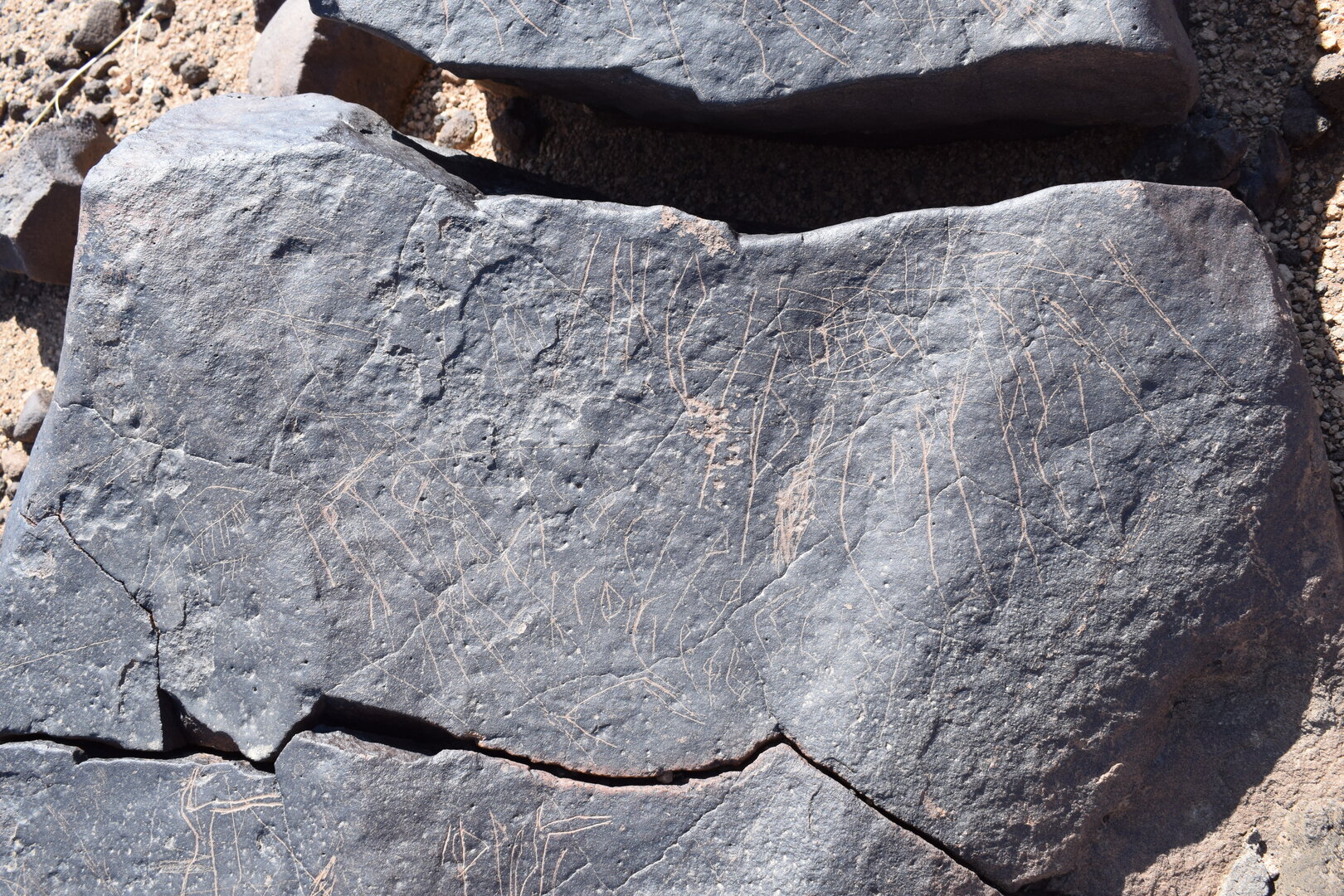 Image of siglum BES20 701