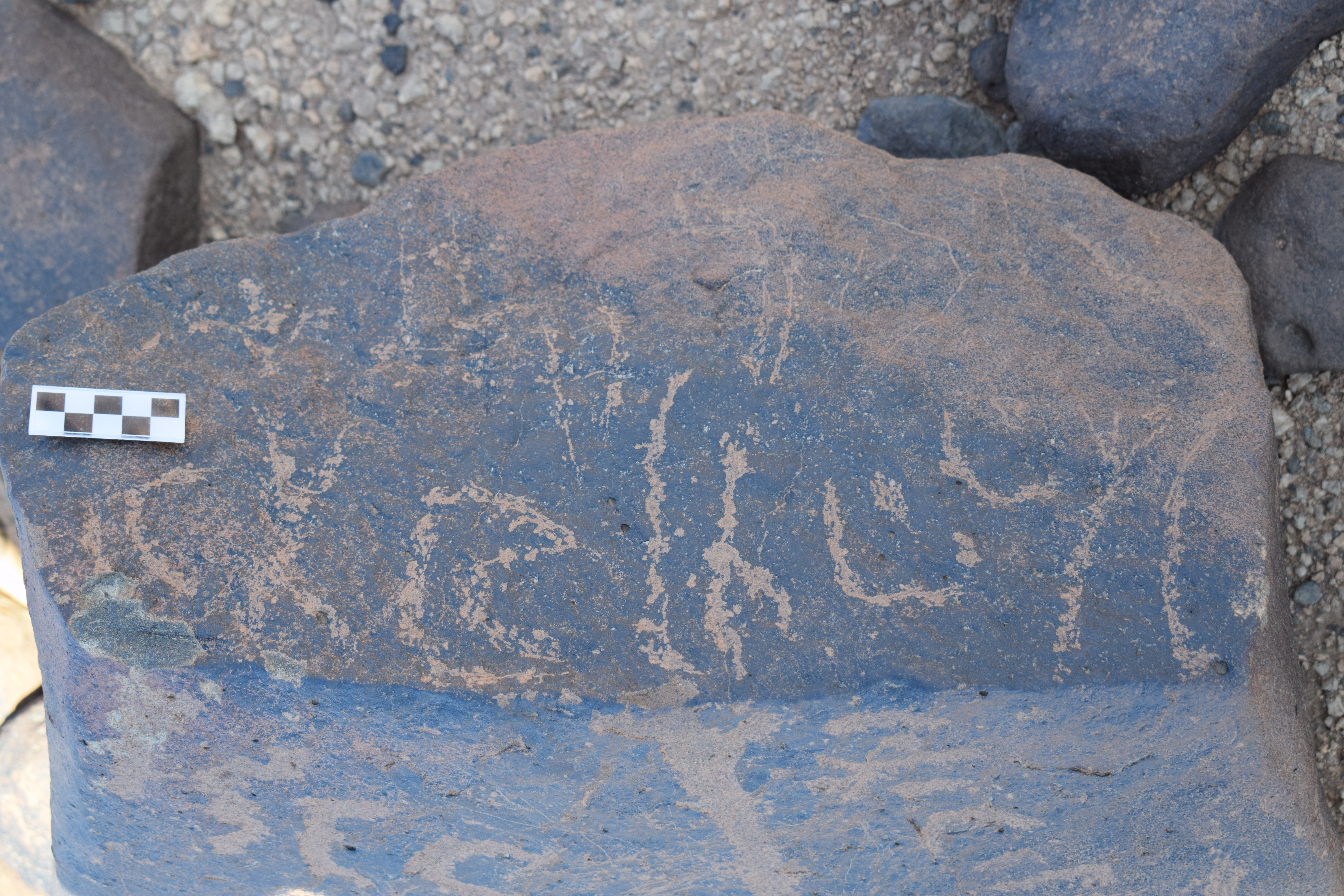 Image of siglum BES20 704