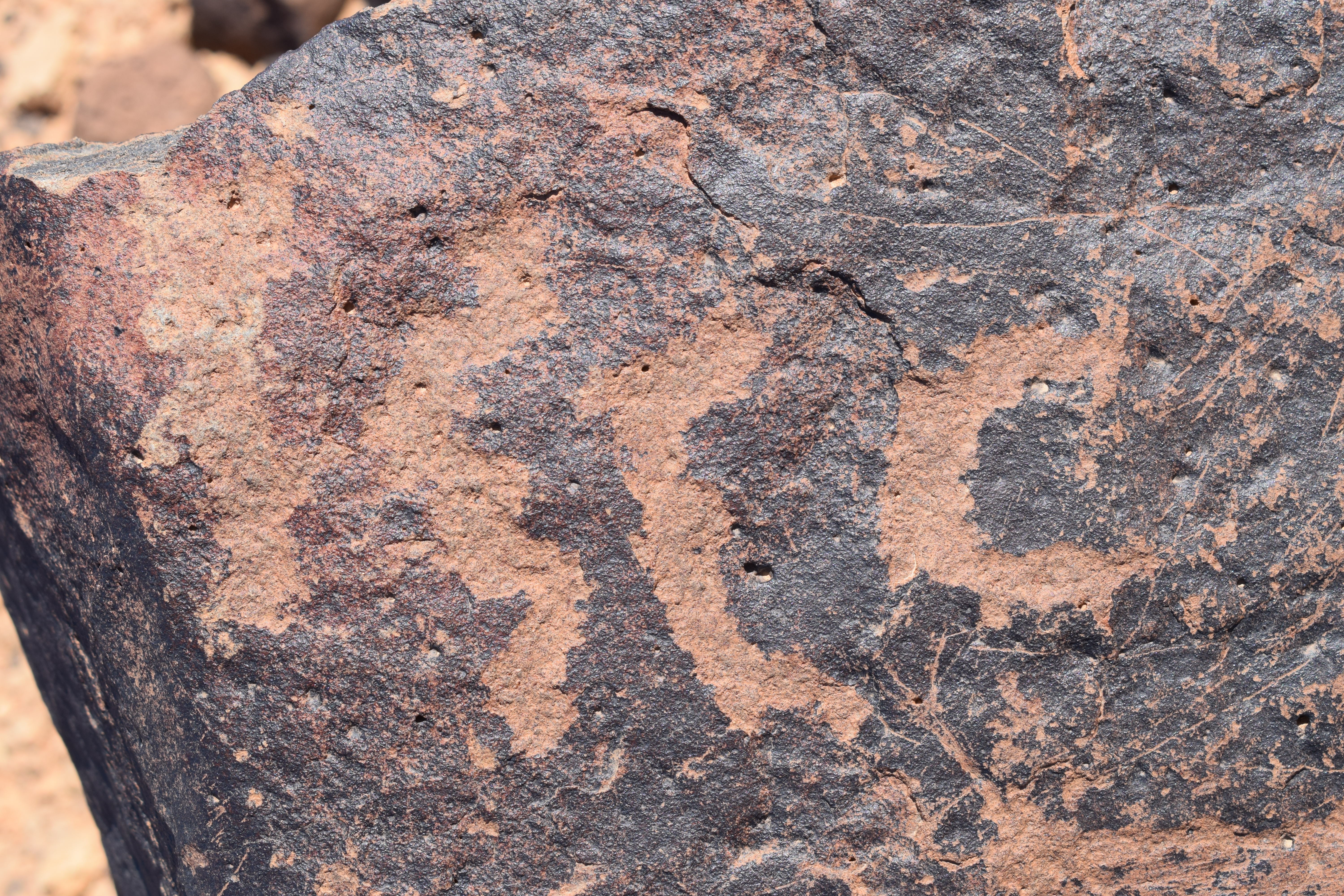 Image of siglum BES20 705