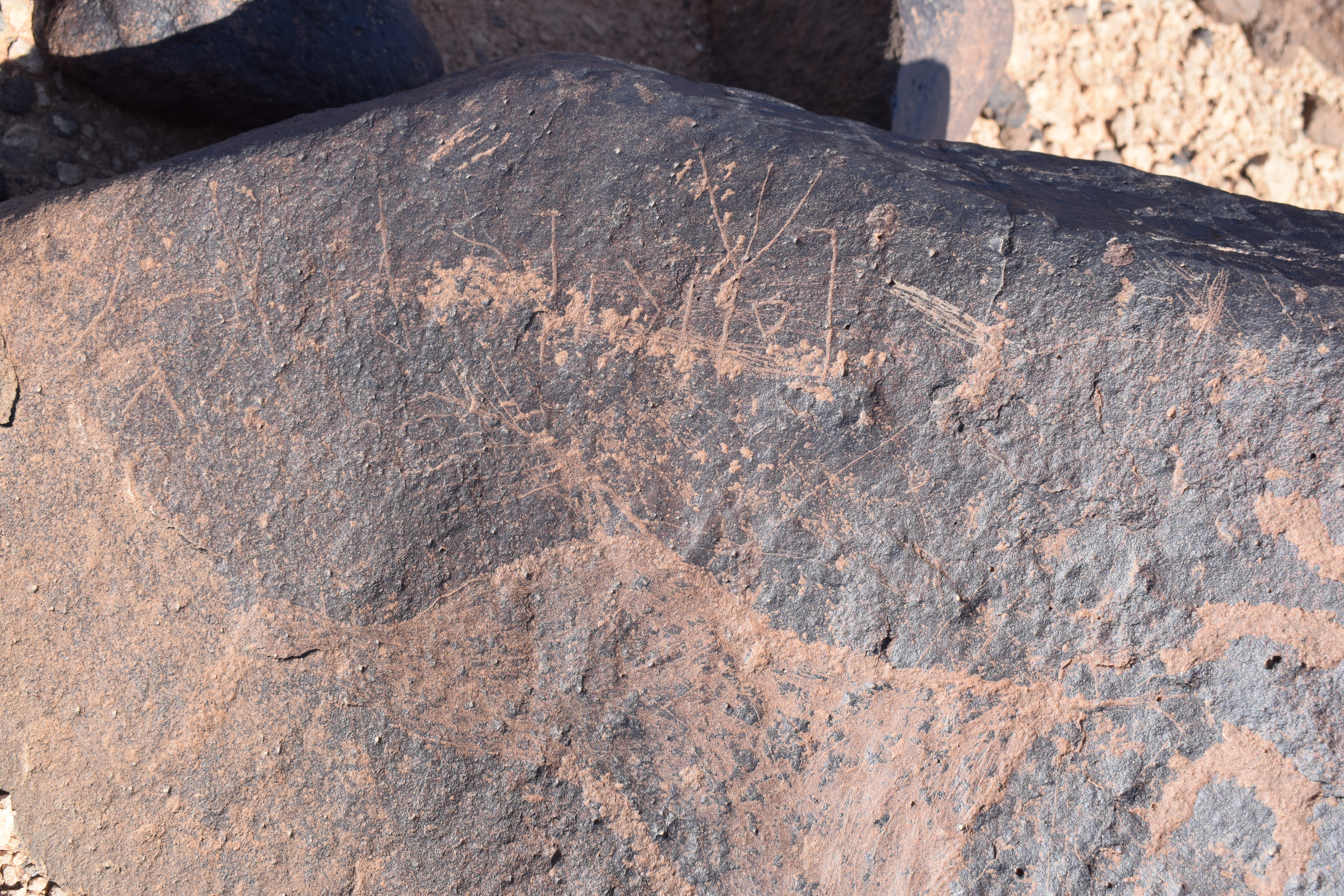 Image of siglum BES20 705