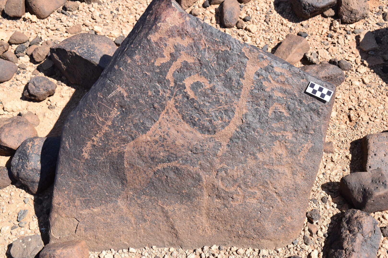 Image of siglum BES20 705