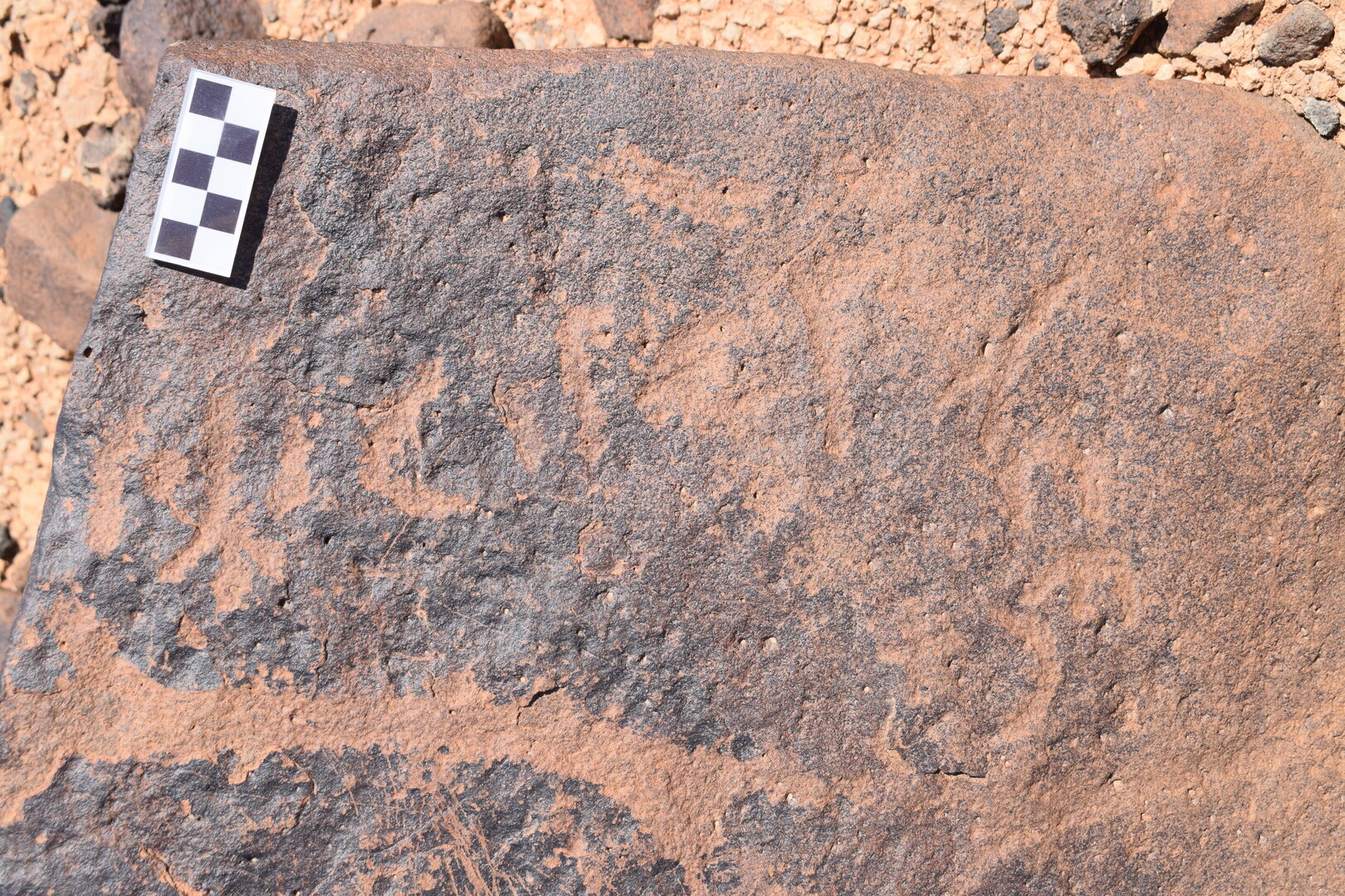 Image of siglum BES20 705