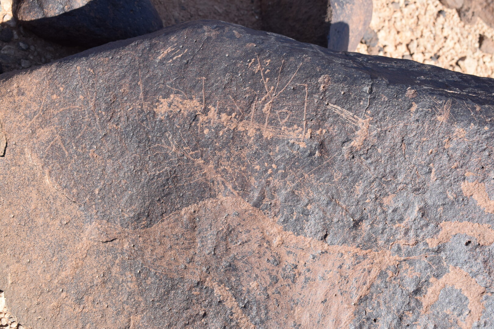 Image of siglum BES20 705